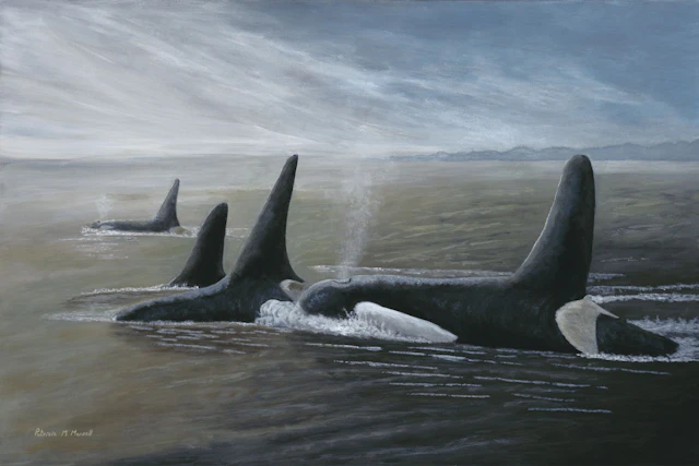PROESSION (Orca) - Patricia Mansell