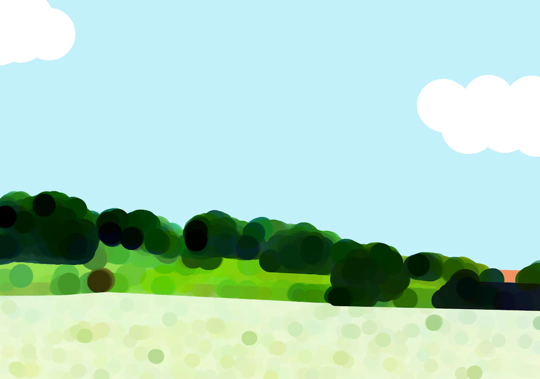 Flower field #3 - Furio Torracchi