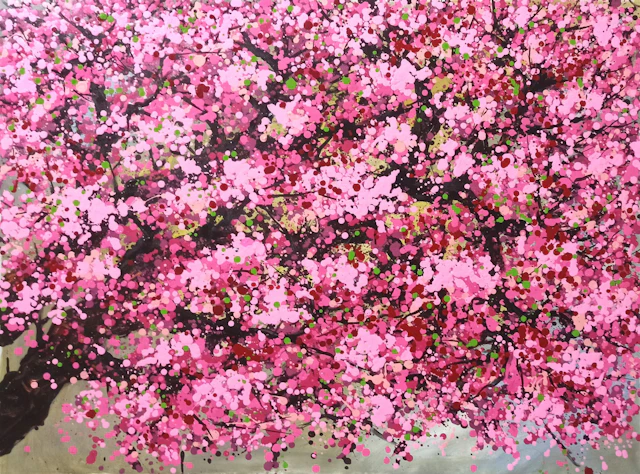 SAKURA - Cherry blossoms bloom - Hoang Phuong