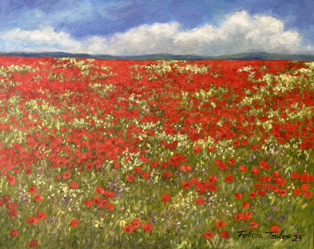 Poppies Field - Felicia Trales