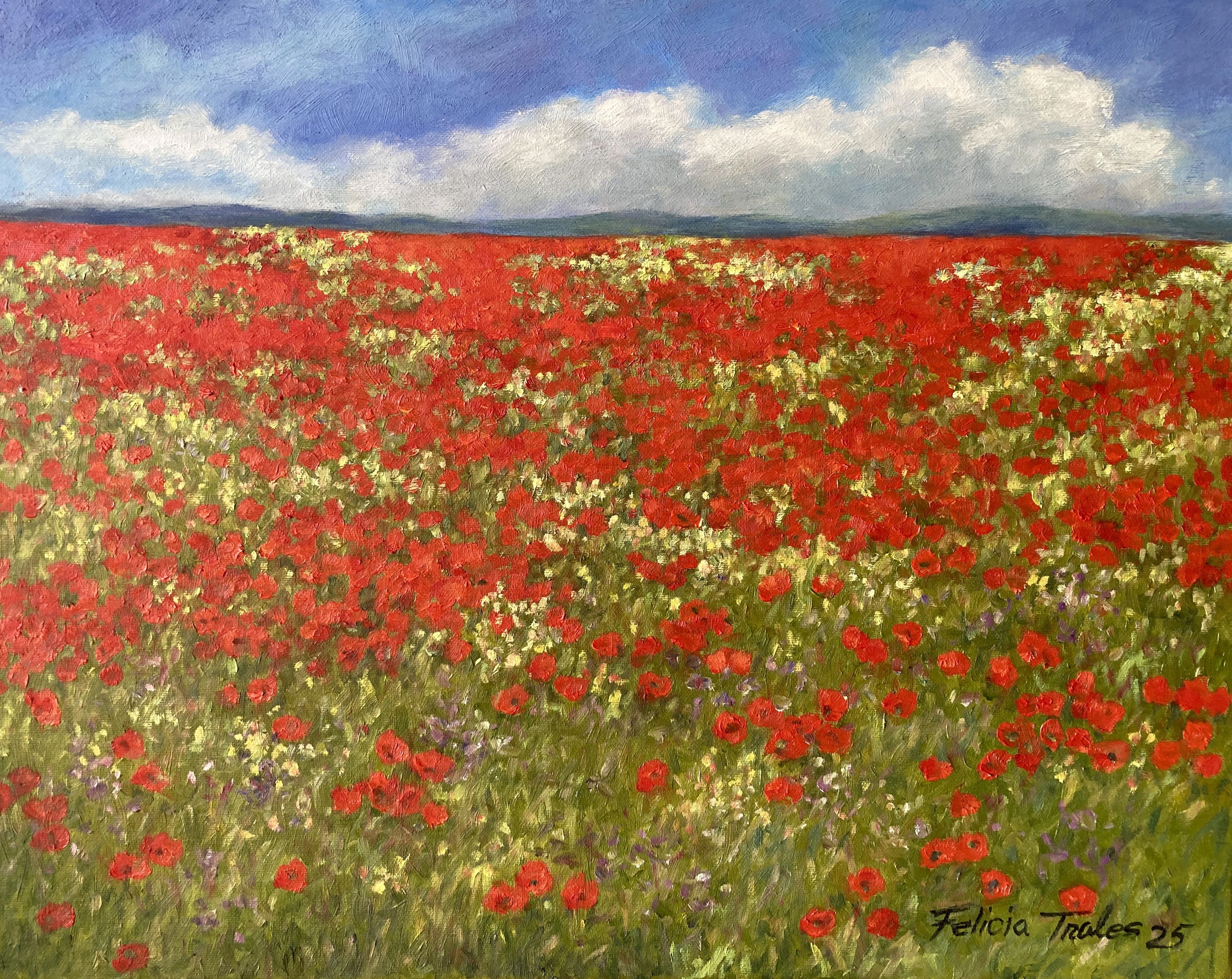 Poppies Field - Felicia Trales