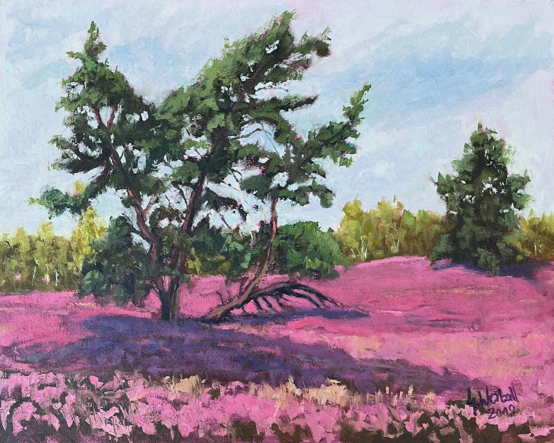 Heather blossom Lueneburg Heath - Gary Westall