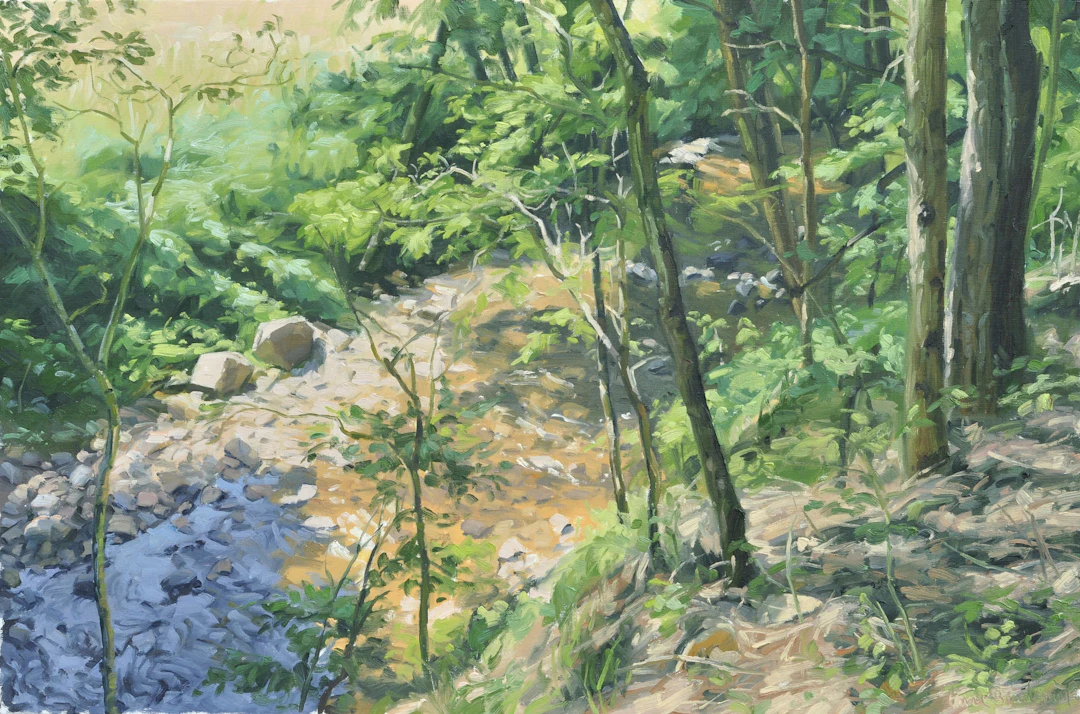 The two rocks banks of the Sumène - Anne Baudequin