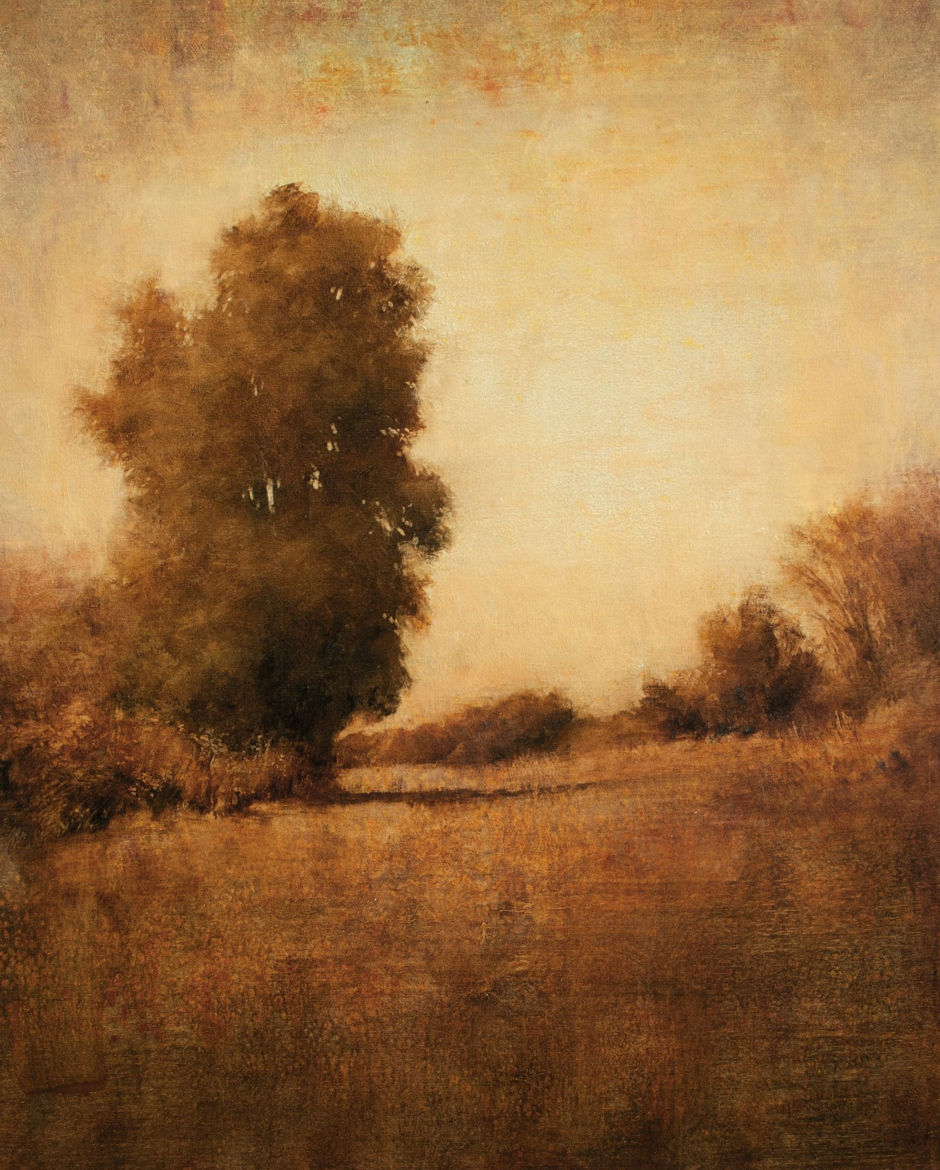 A Distant Meadow 231105 - Don Bishop