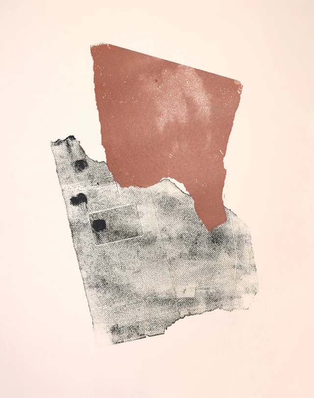 Rainshadow No 2 - Melissa McGill