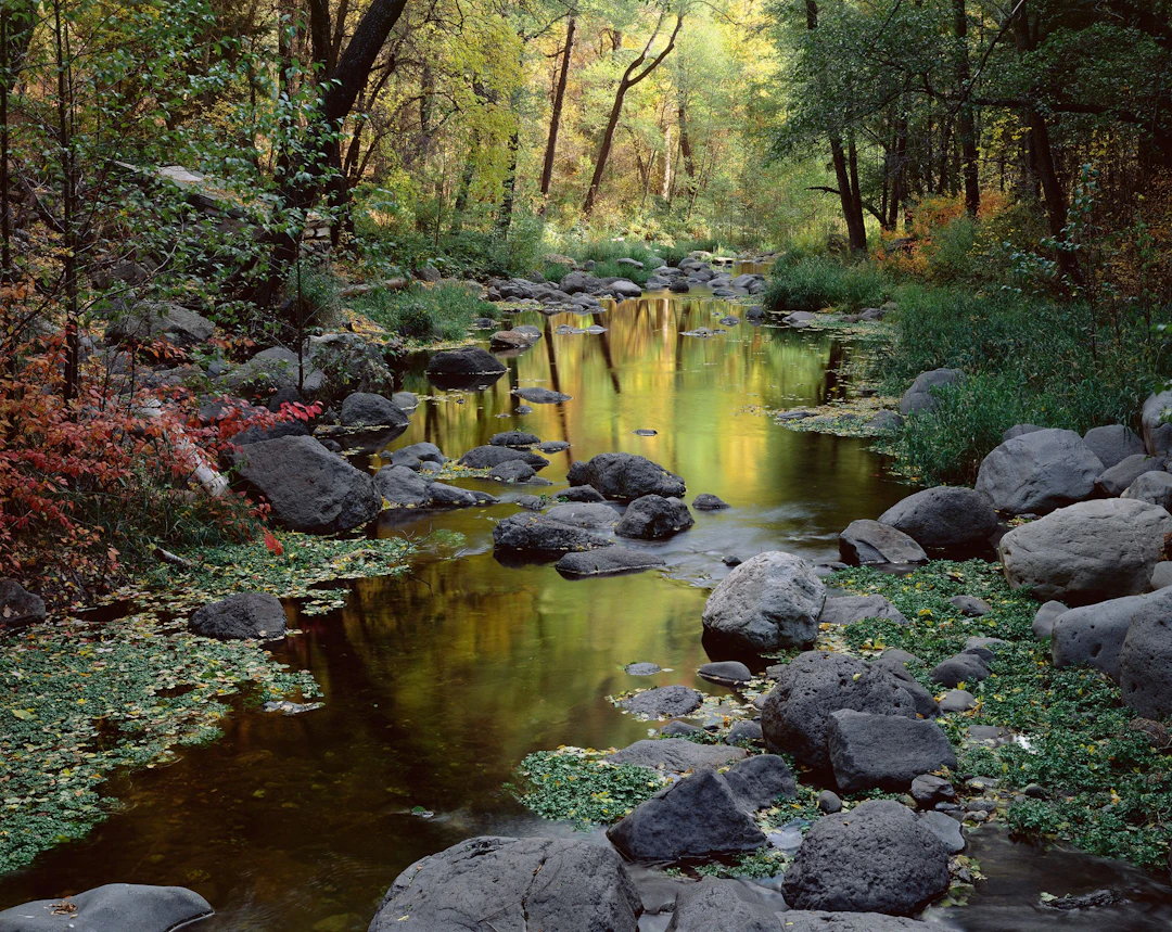 Oak Creek Autumn - BD Griffith