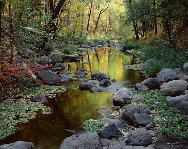 Oak Creek Autumn - BD Griffith