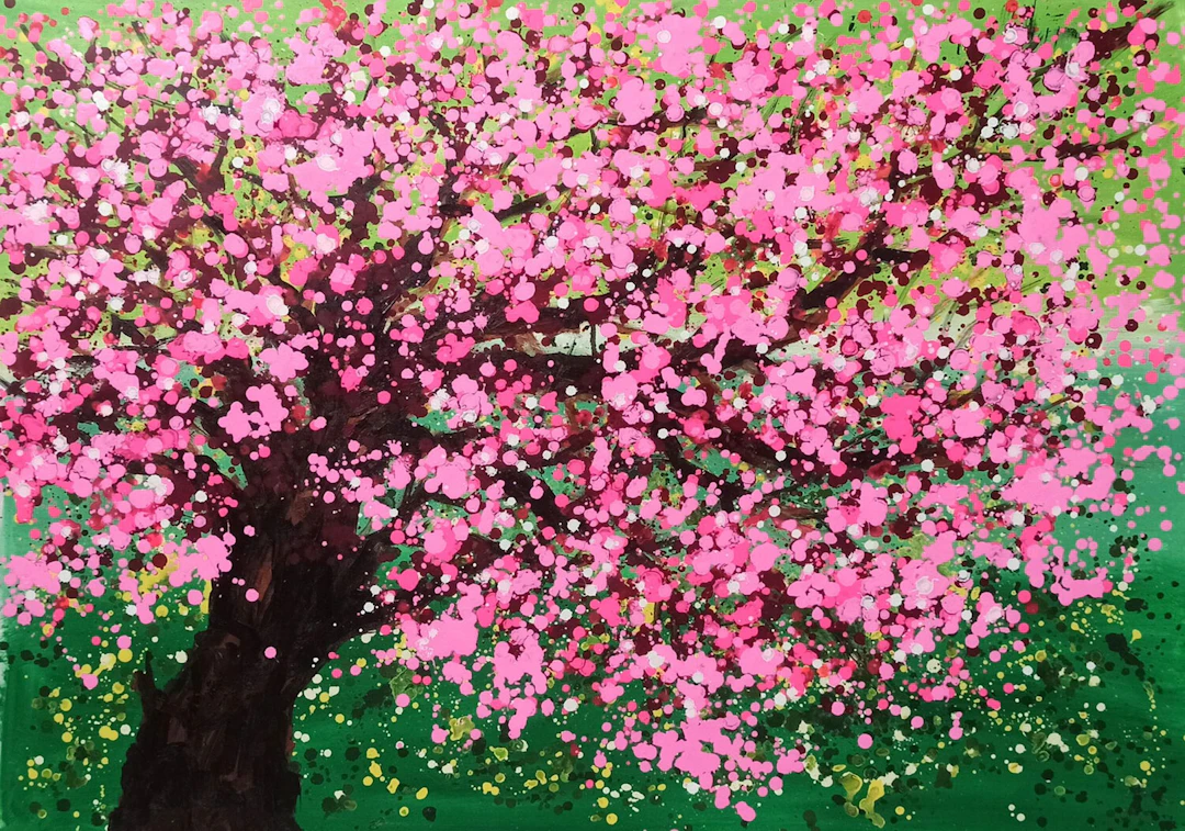 CHERRY BLOSSOM - Hoang Phuong