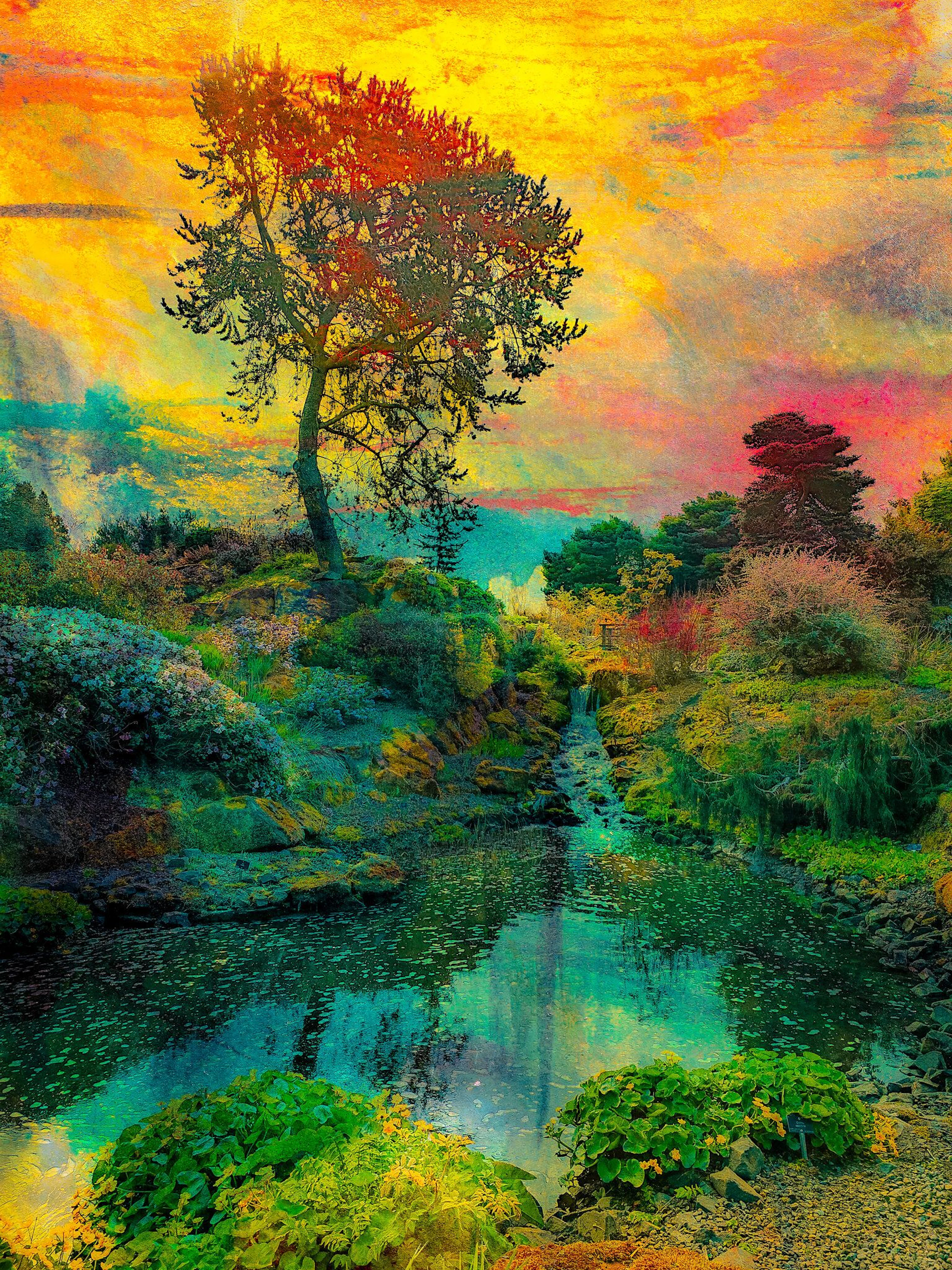 The painted garden - Viet Ha Tran
