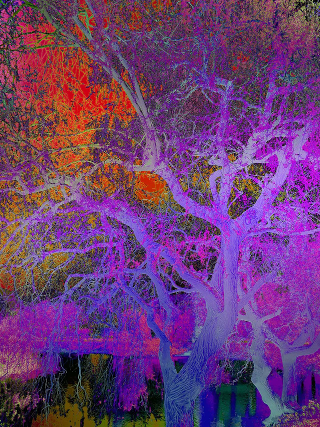 Shades of Dreams XXIII - Viet Ha Tran
