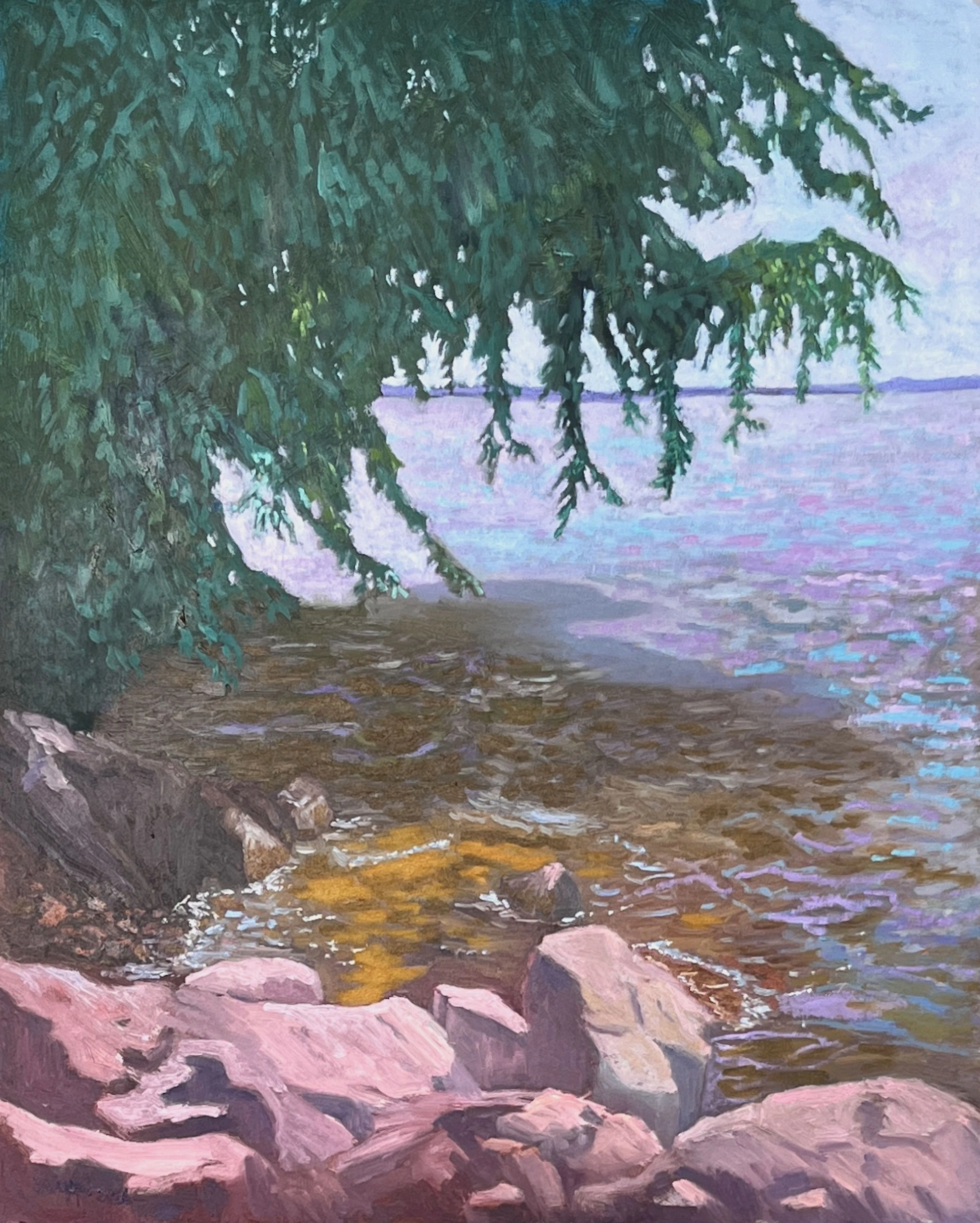 The Colors of Lake Dümmer - Gary Westall