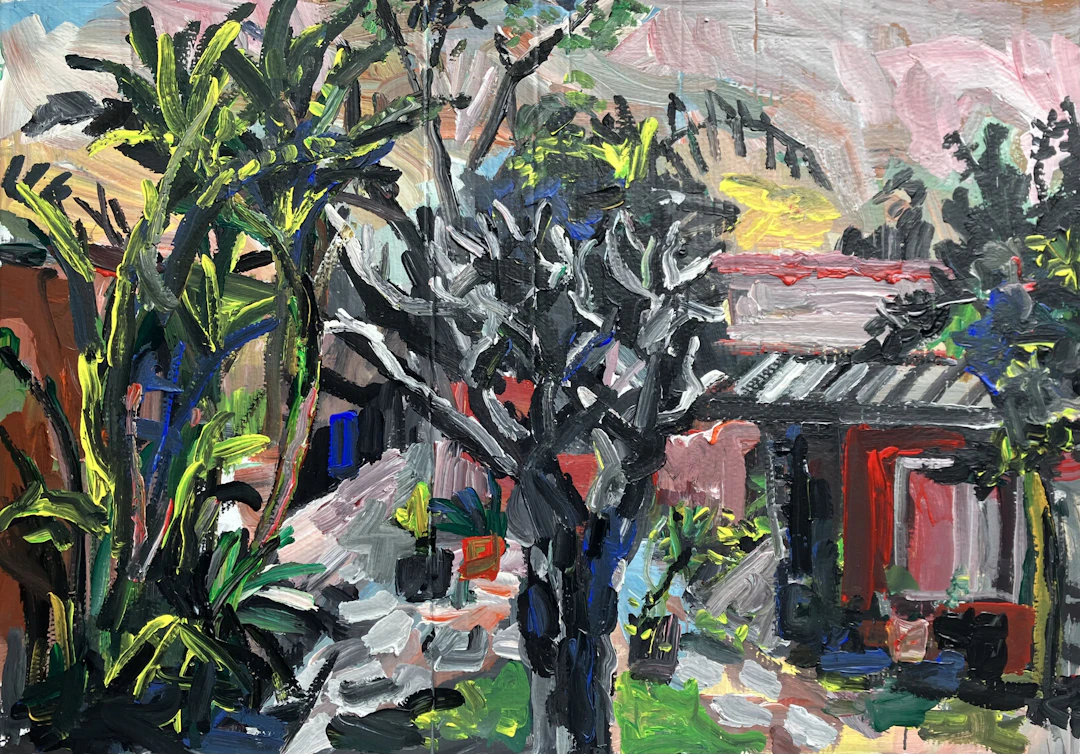Backyard Sunset - John Kilduff