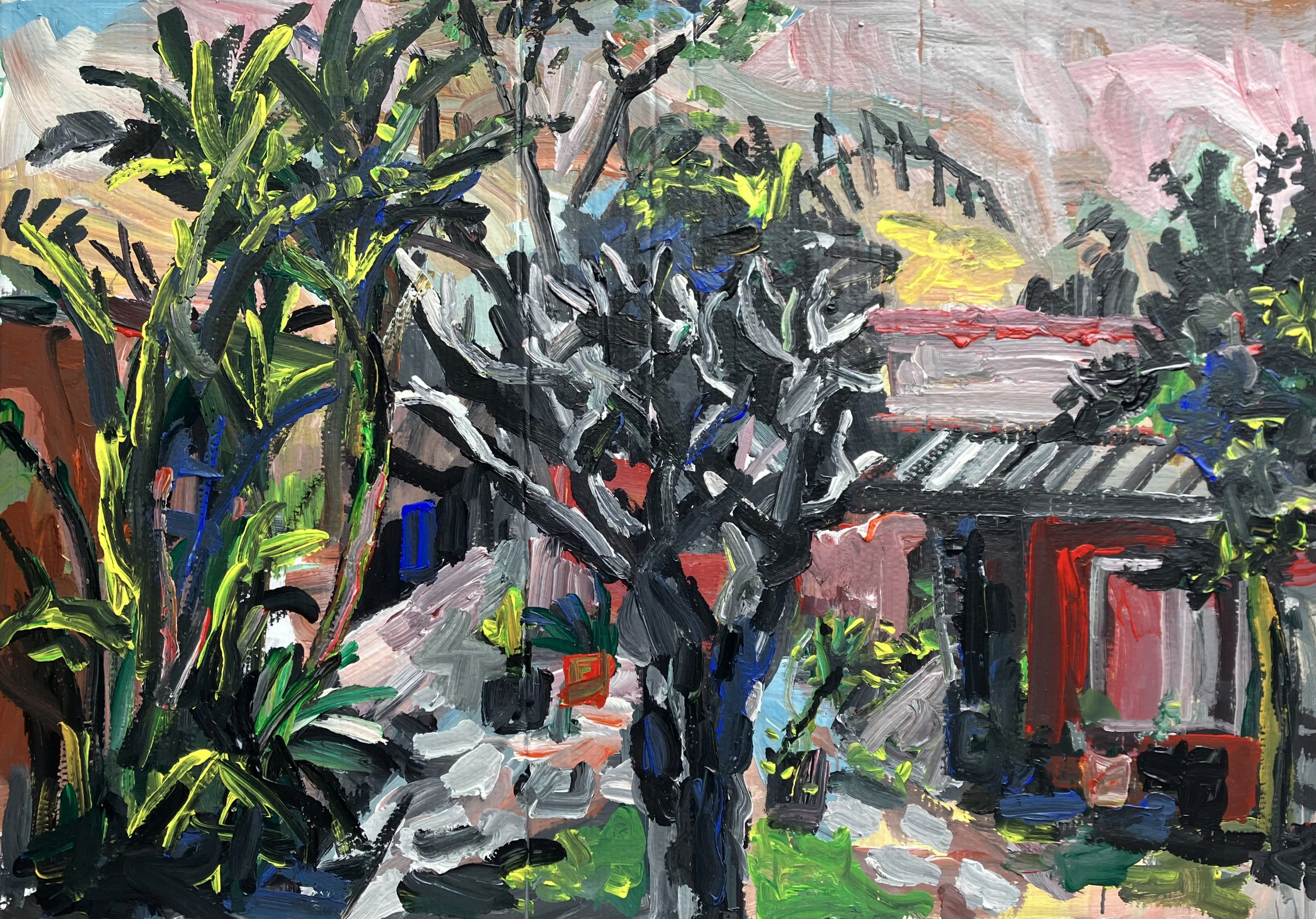 Backyard Sunset - John Kilduff