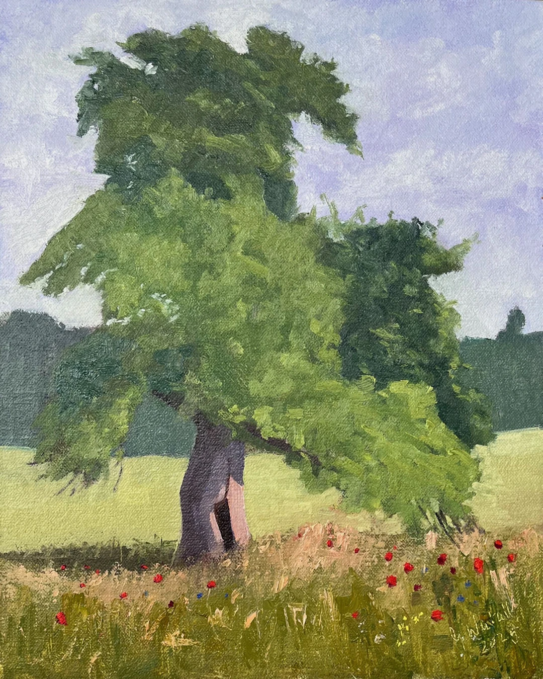 Tree at the edge of the field Klopotowo - Gary Westall