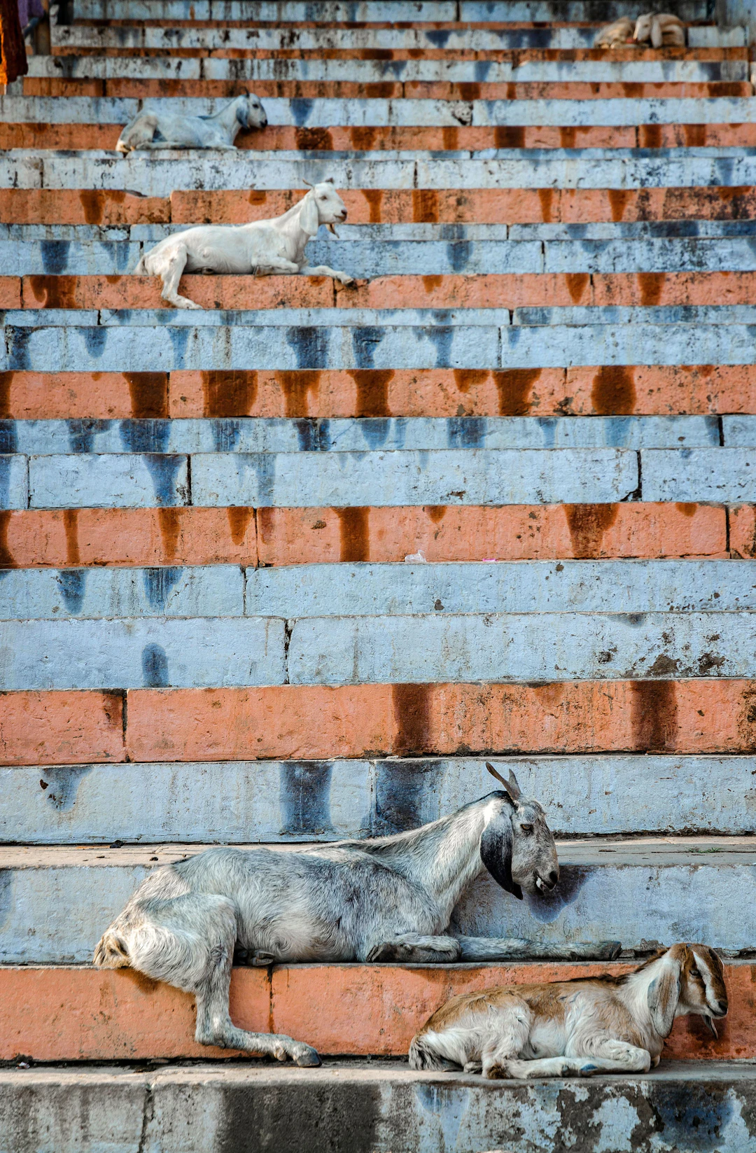 Varanasi #6 - Serge Horta
