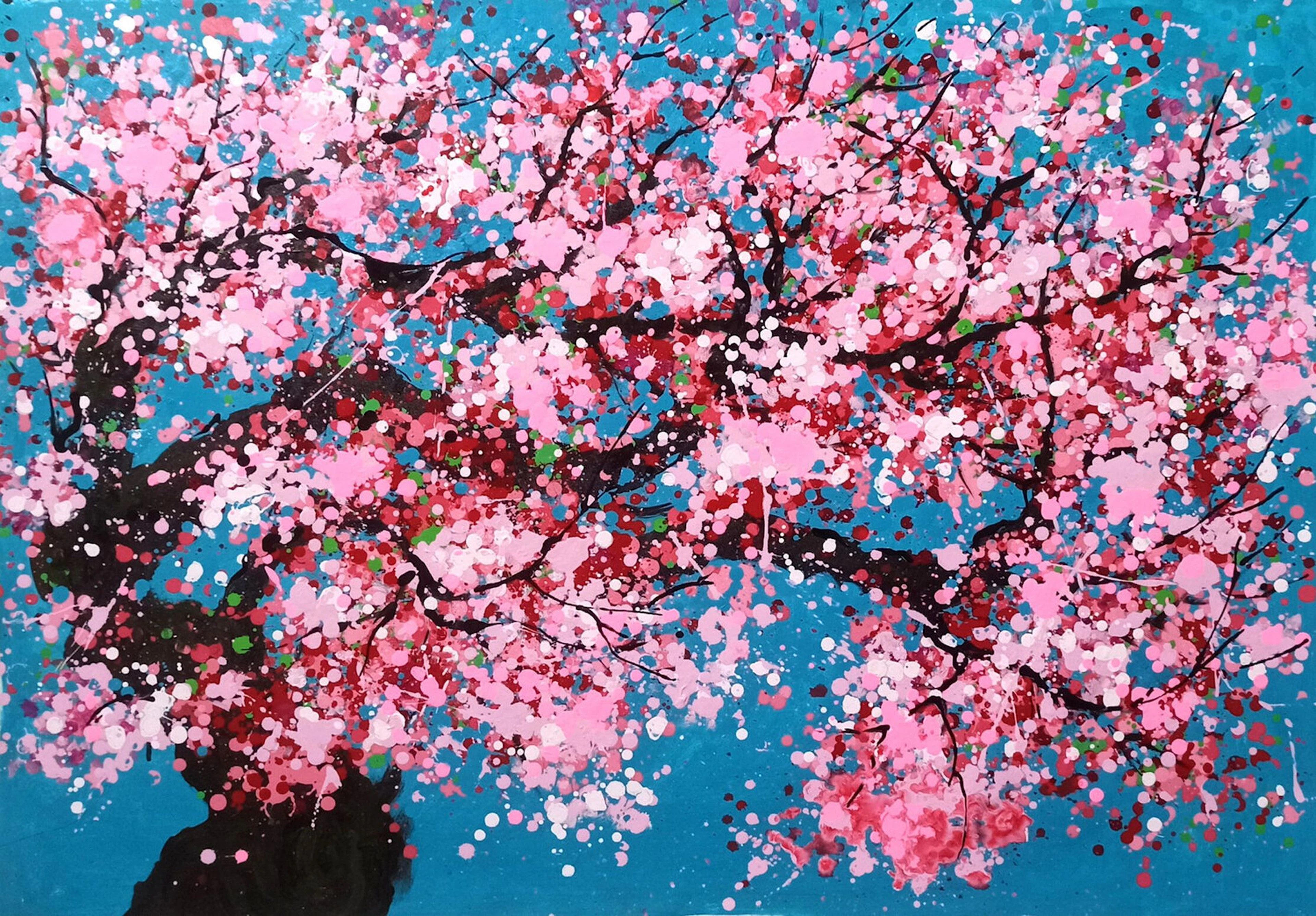 SAKURA - Cherry blossom - Hoang Phuong