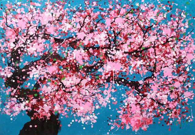 SAKURA - Cherry blossom - Hoang Phuong