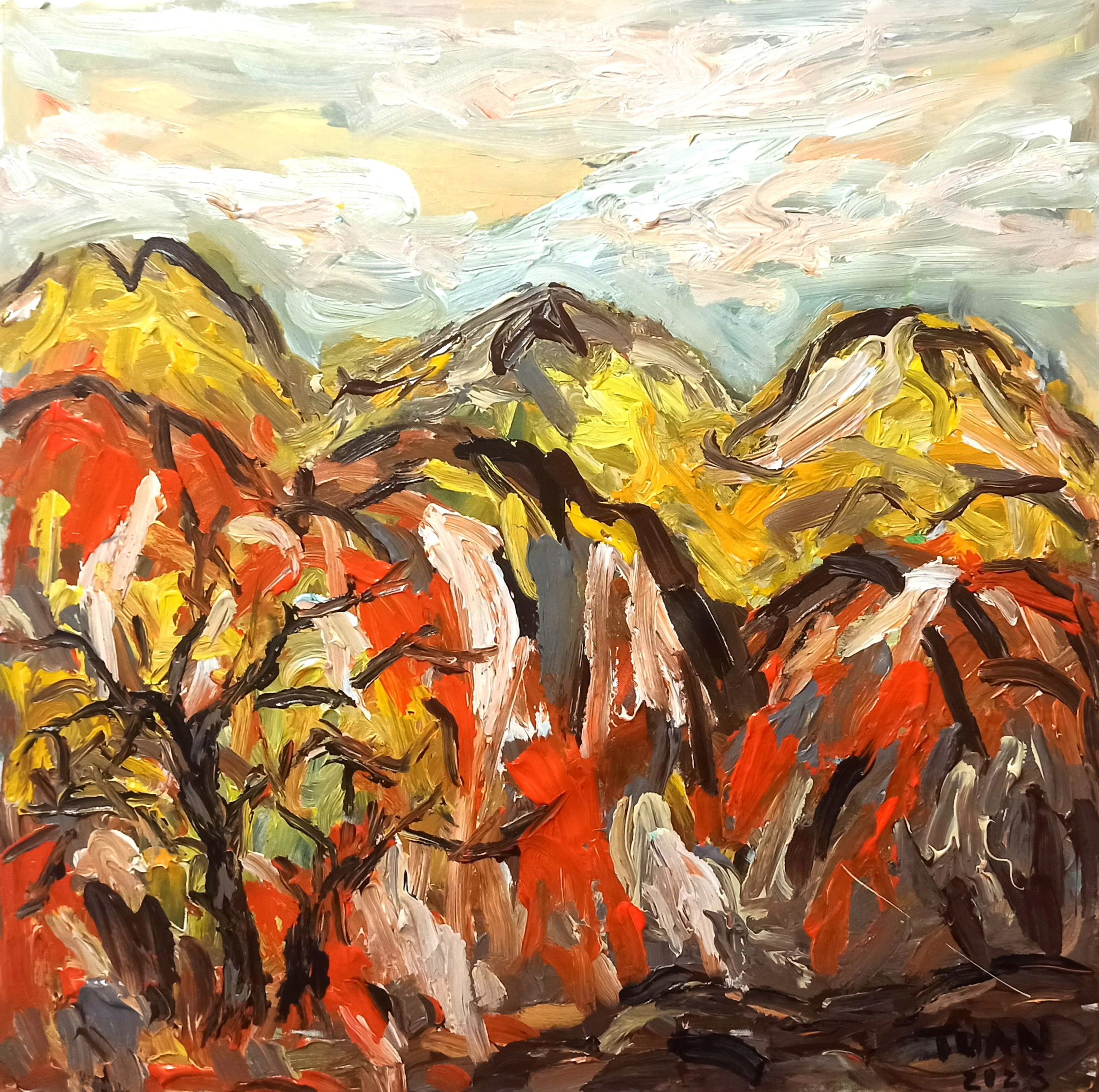 Summer mountain scenery - LE ANH TUAN