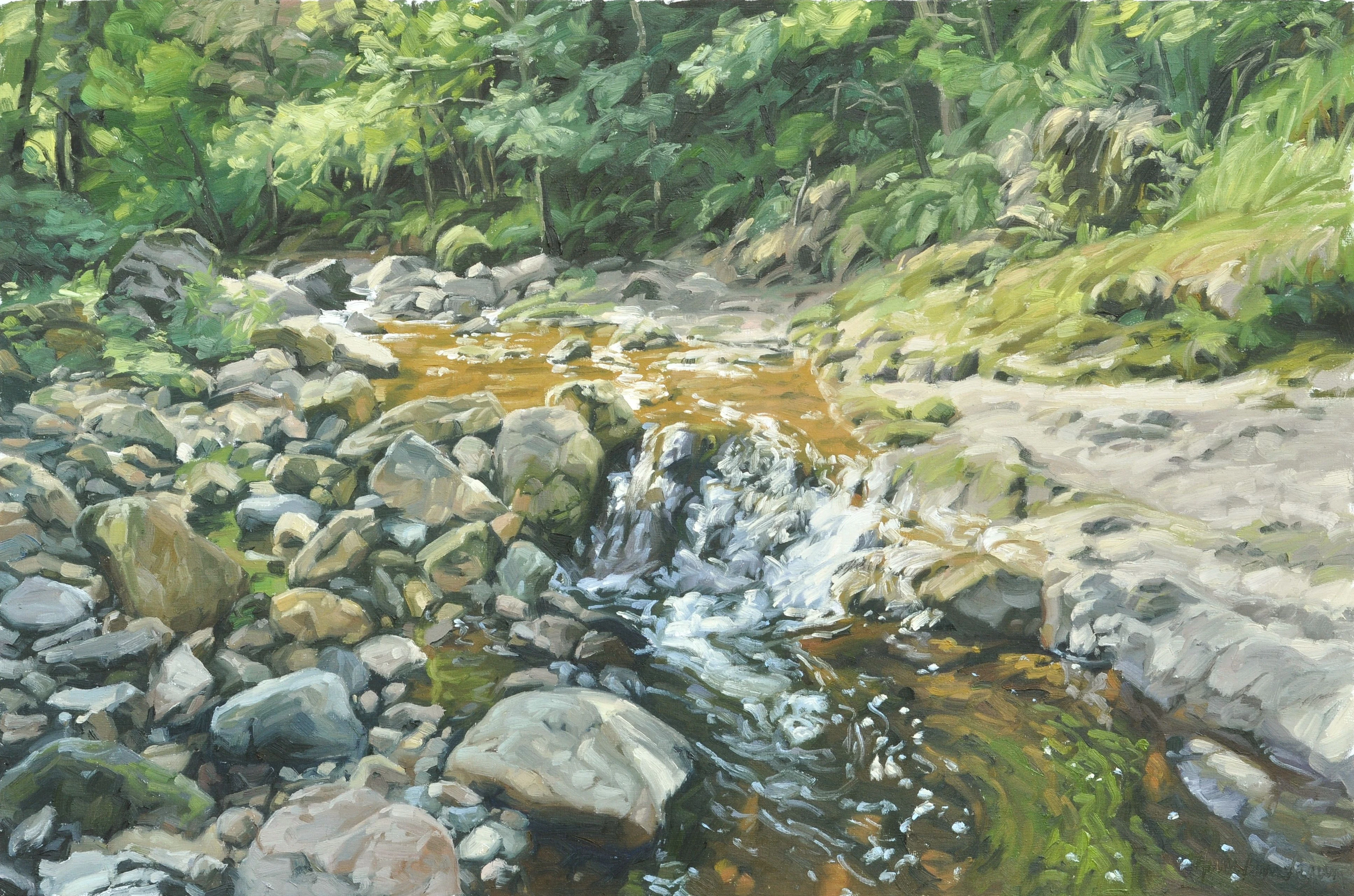 The Sumène through rocks - Anne Baudequin