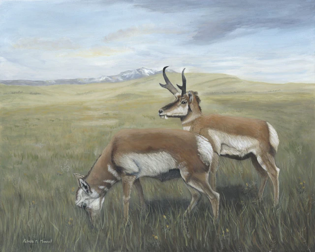 PRAIRIE GHOSTS (Pronghorn) - Patricia Mansell