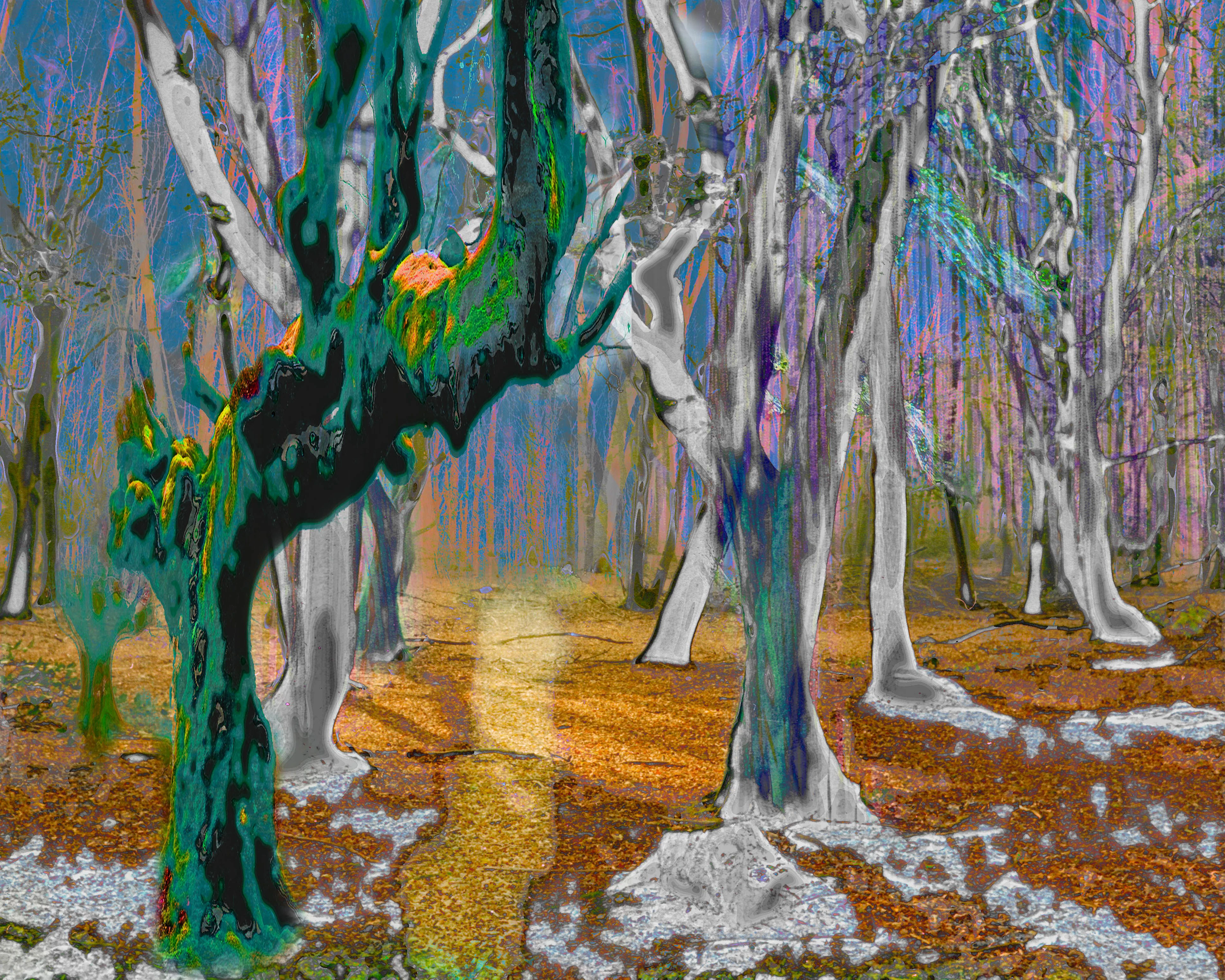 Mystifying Forrest 6 - geert lemmers