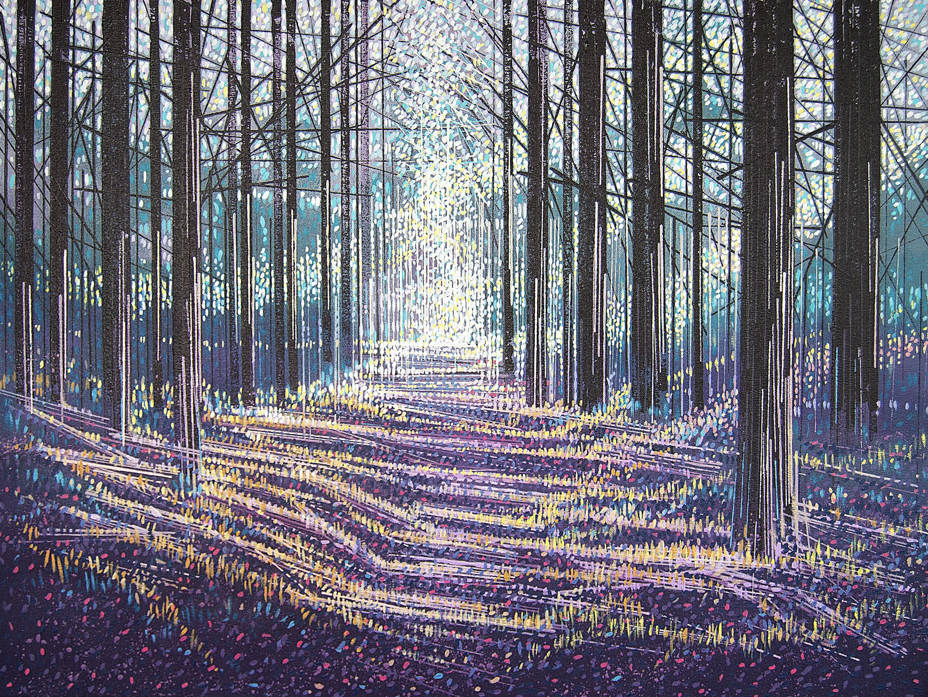 Light Through Winter Trees - Marc Todd