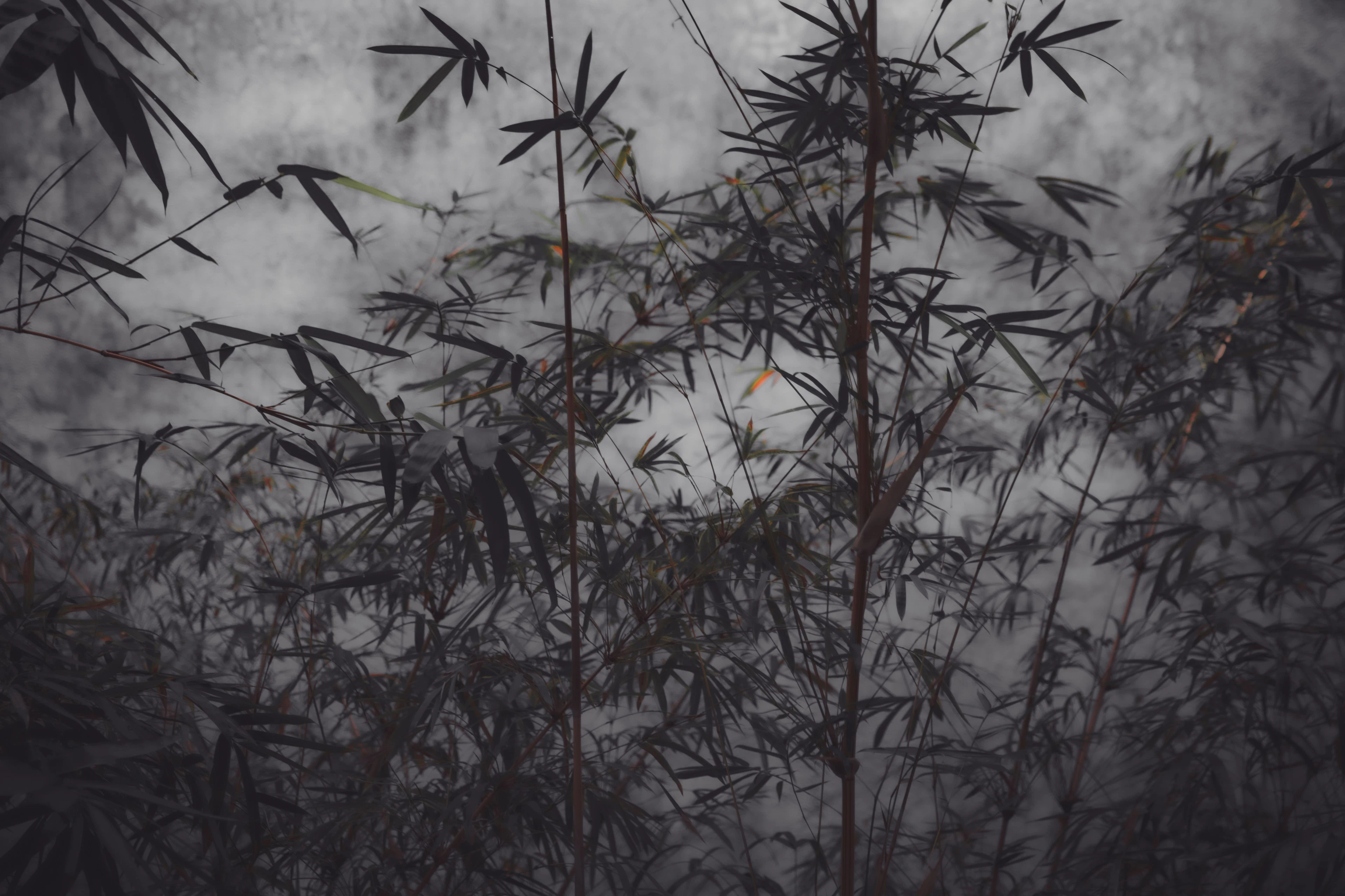 The power of simplicity II - Viet Ha Tran