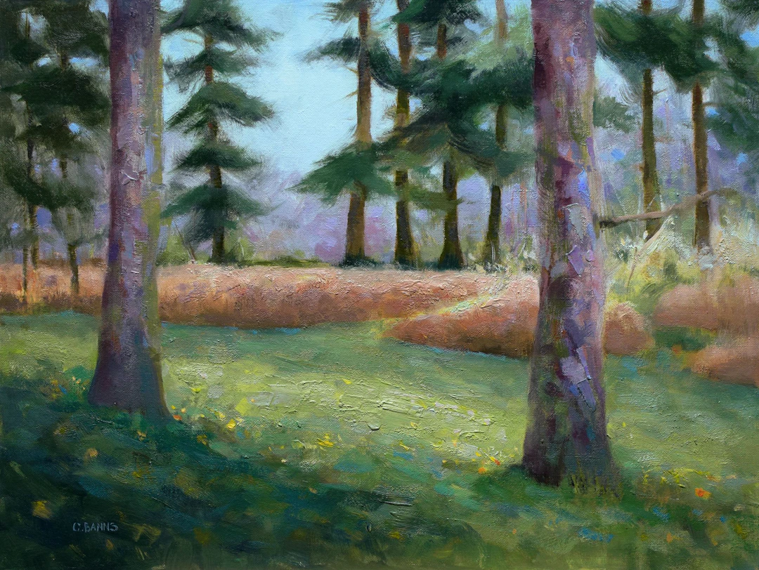 Impressionist Pine tree forest grass and bracken - Gav Banns