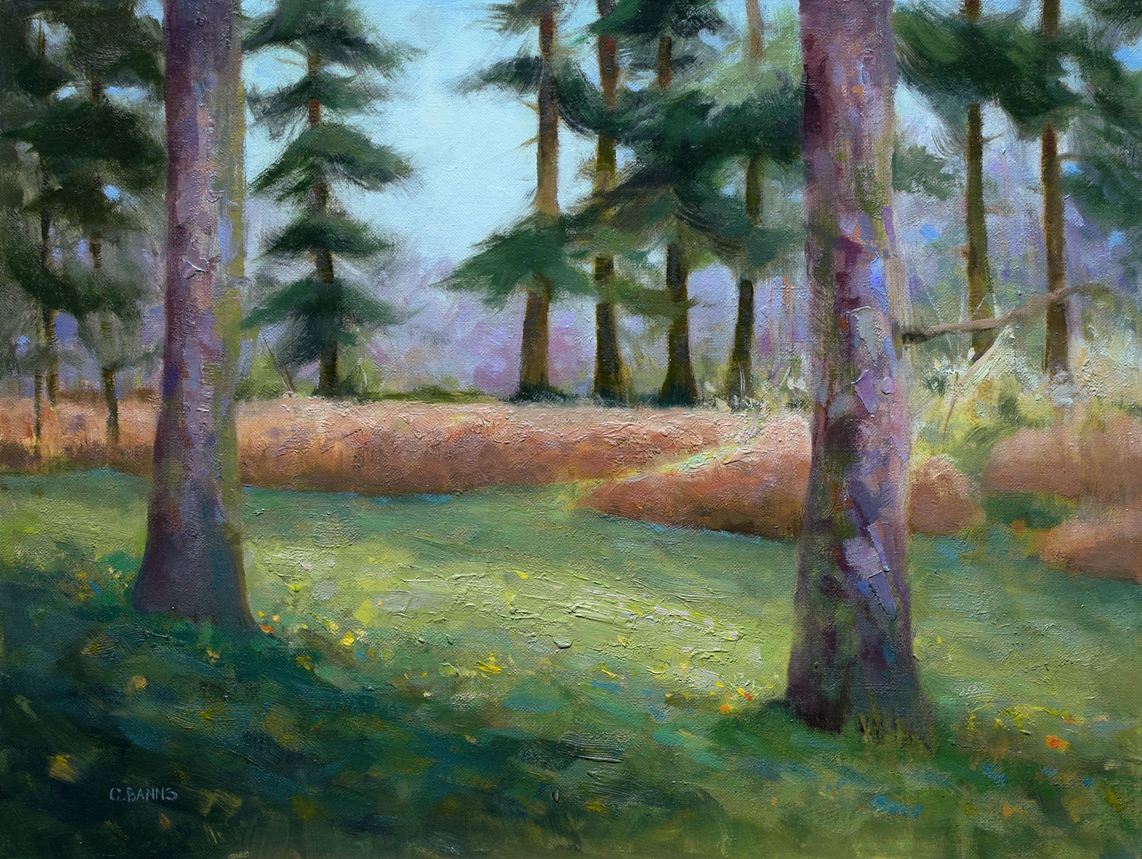 Impressionist Pine tree forest grass and bracken - Gav Banns