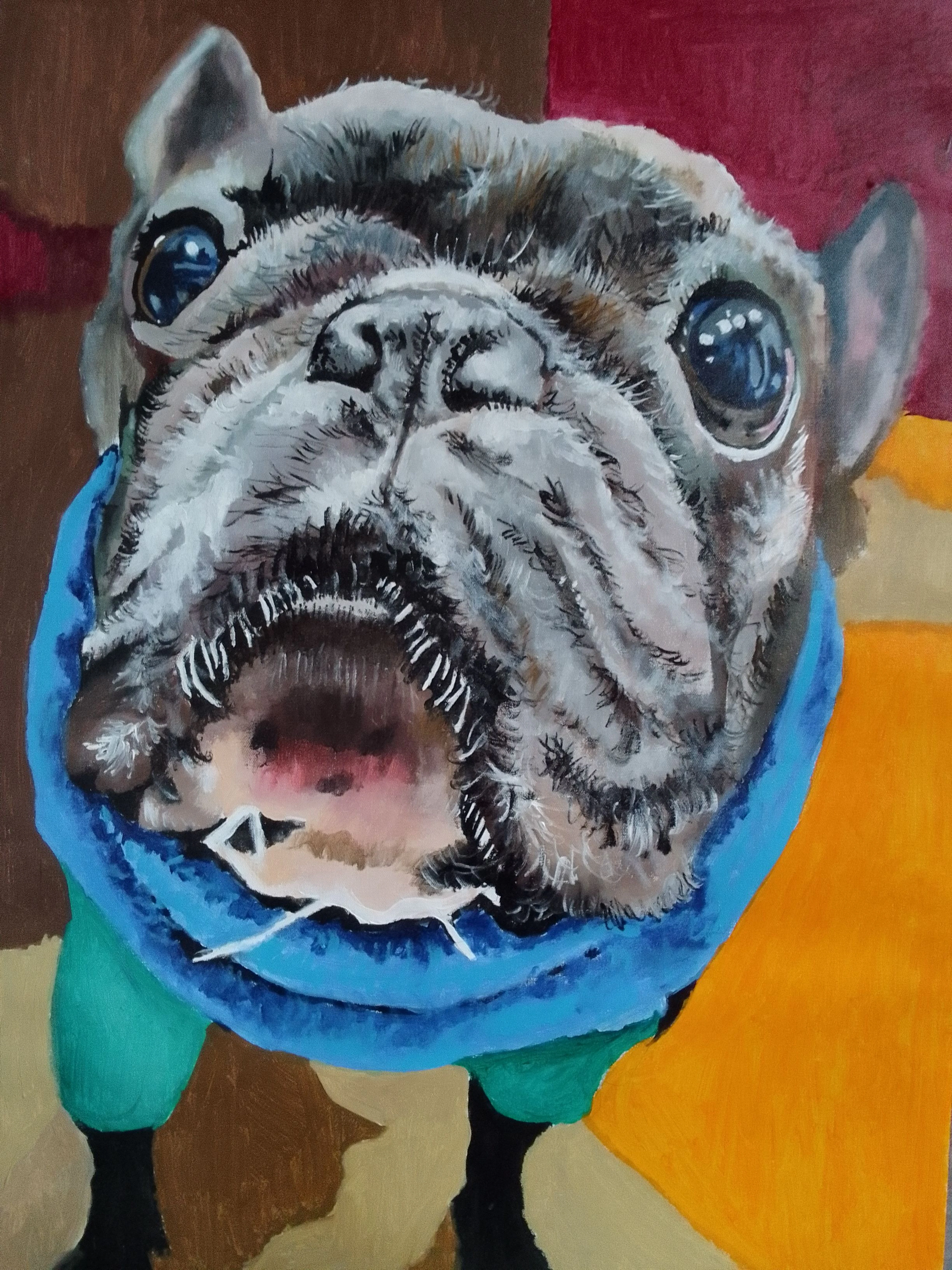 Bulldog - soso kumsiashvili