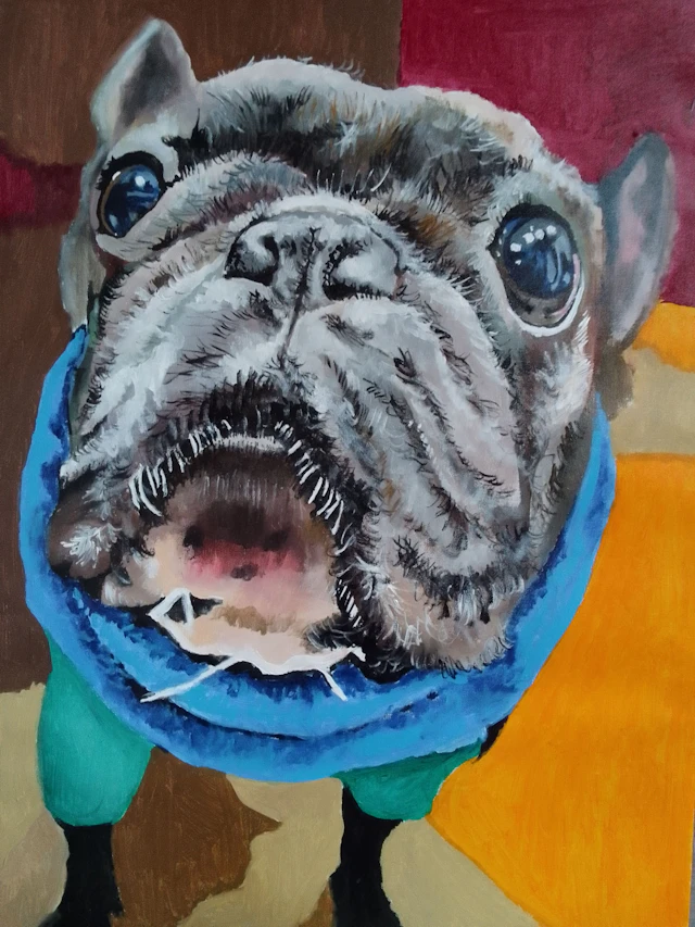 Bulldog - soso kumsiashvili