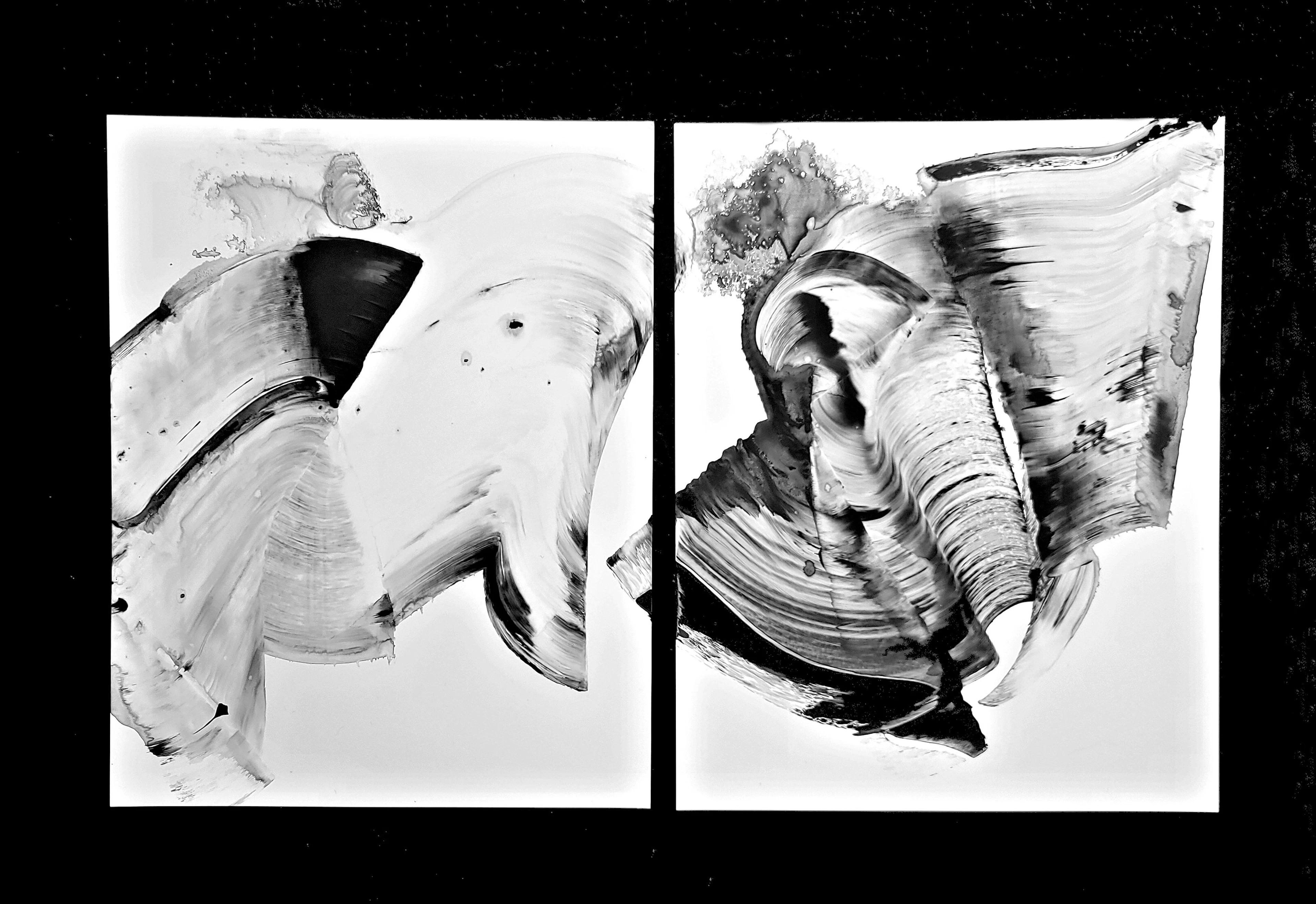 Daylight Dancers Diptych - Newel Hunter