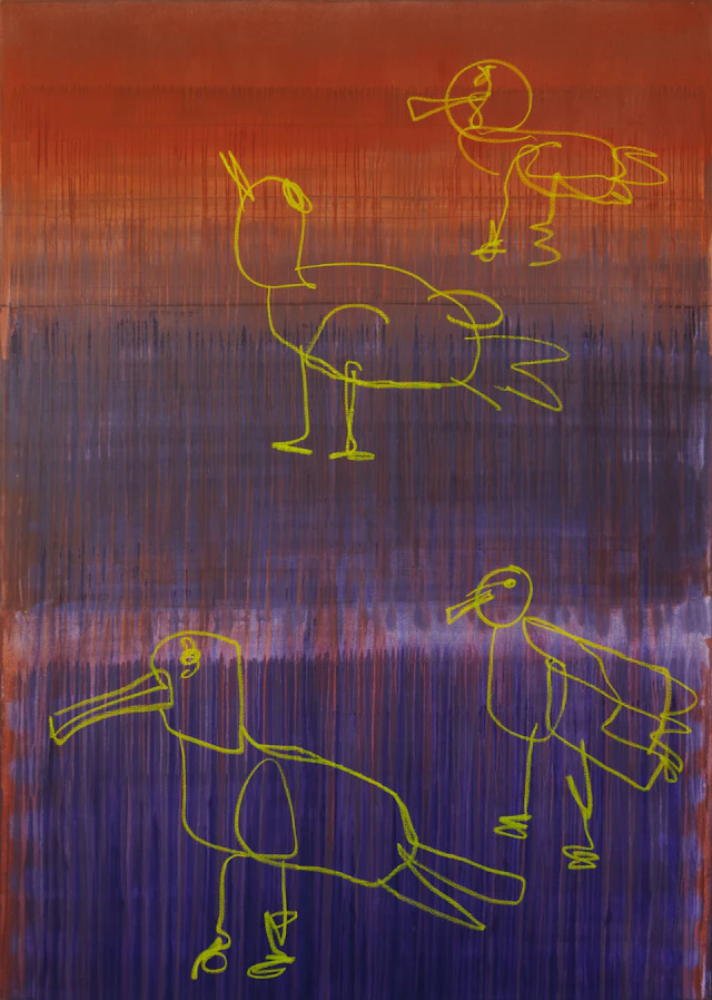 Seagulls - Simon Findlay