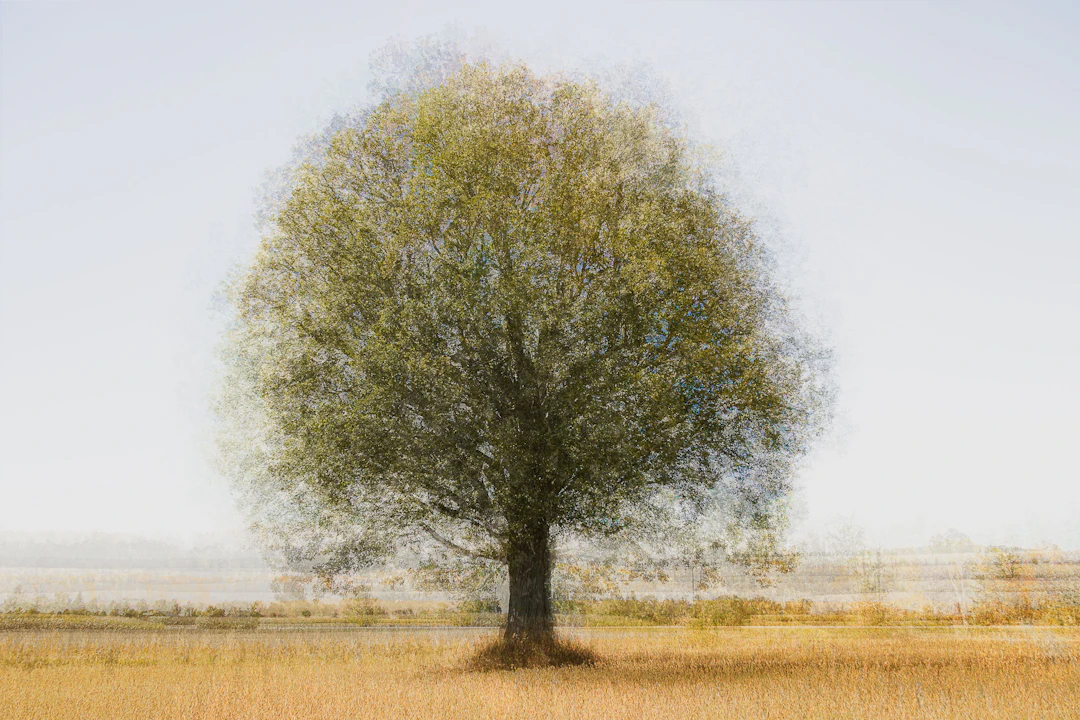 Lonely Tree limited edition - Cristina Stefan