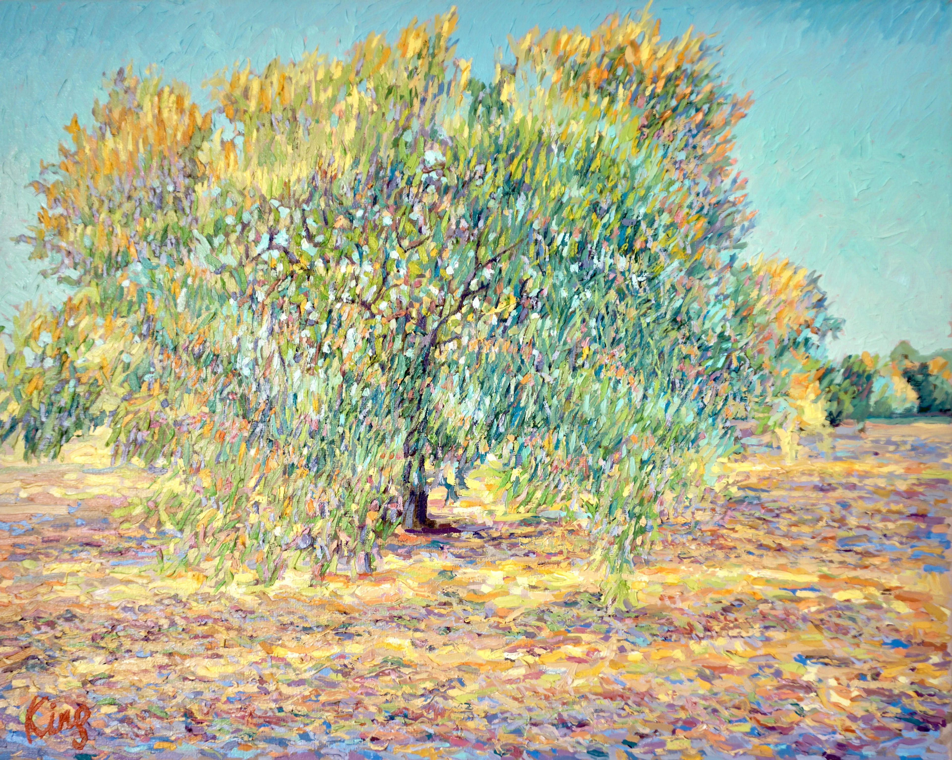 Olive Tree in July - Brian King