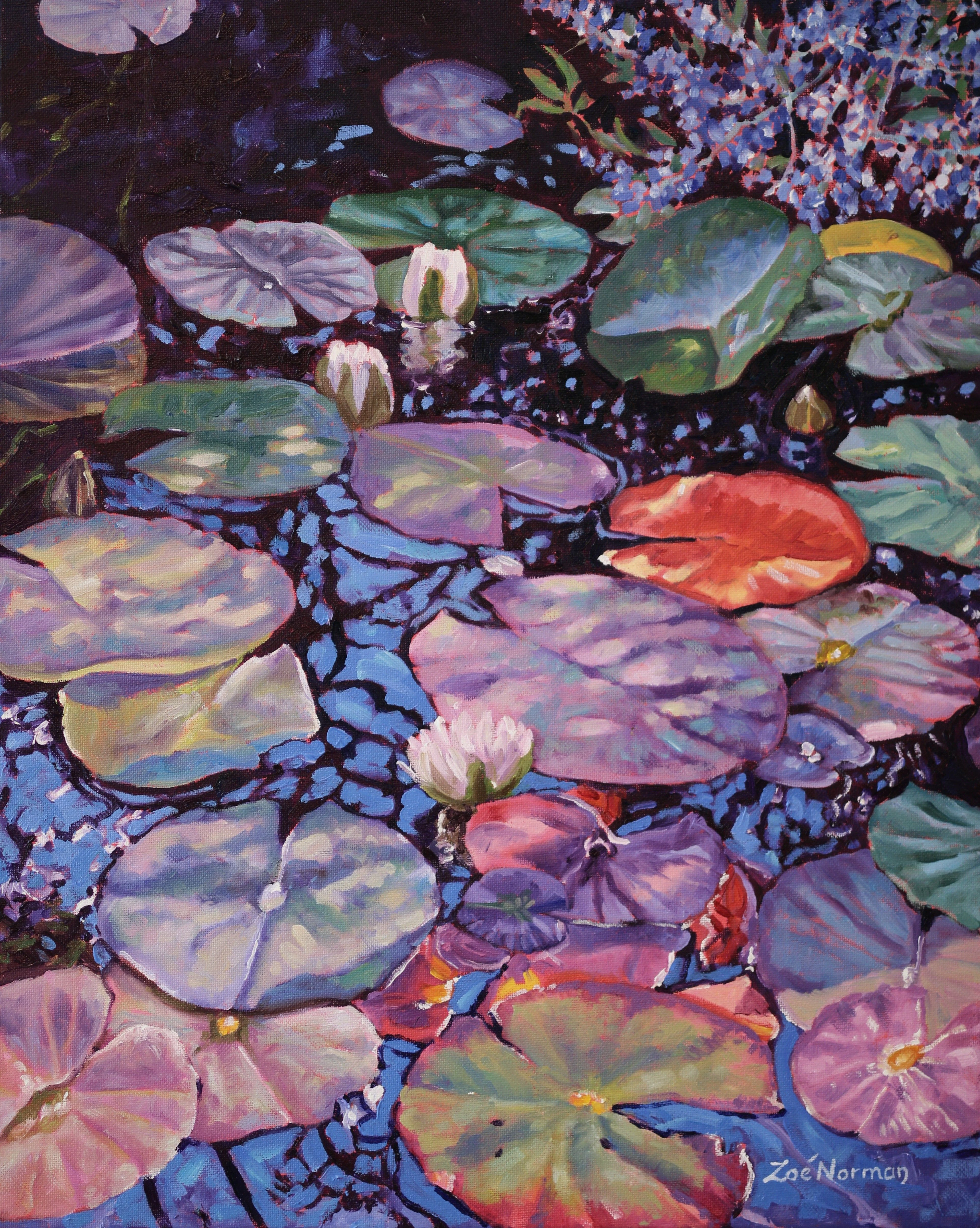 Little Pond Reflections - Zoe Elizabeth Norman