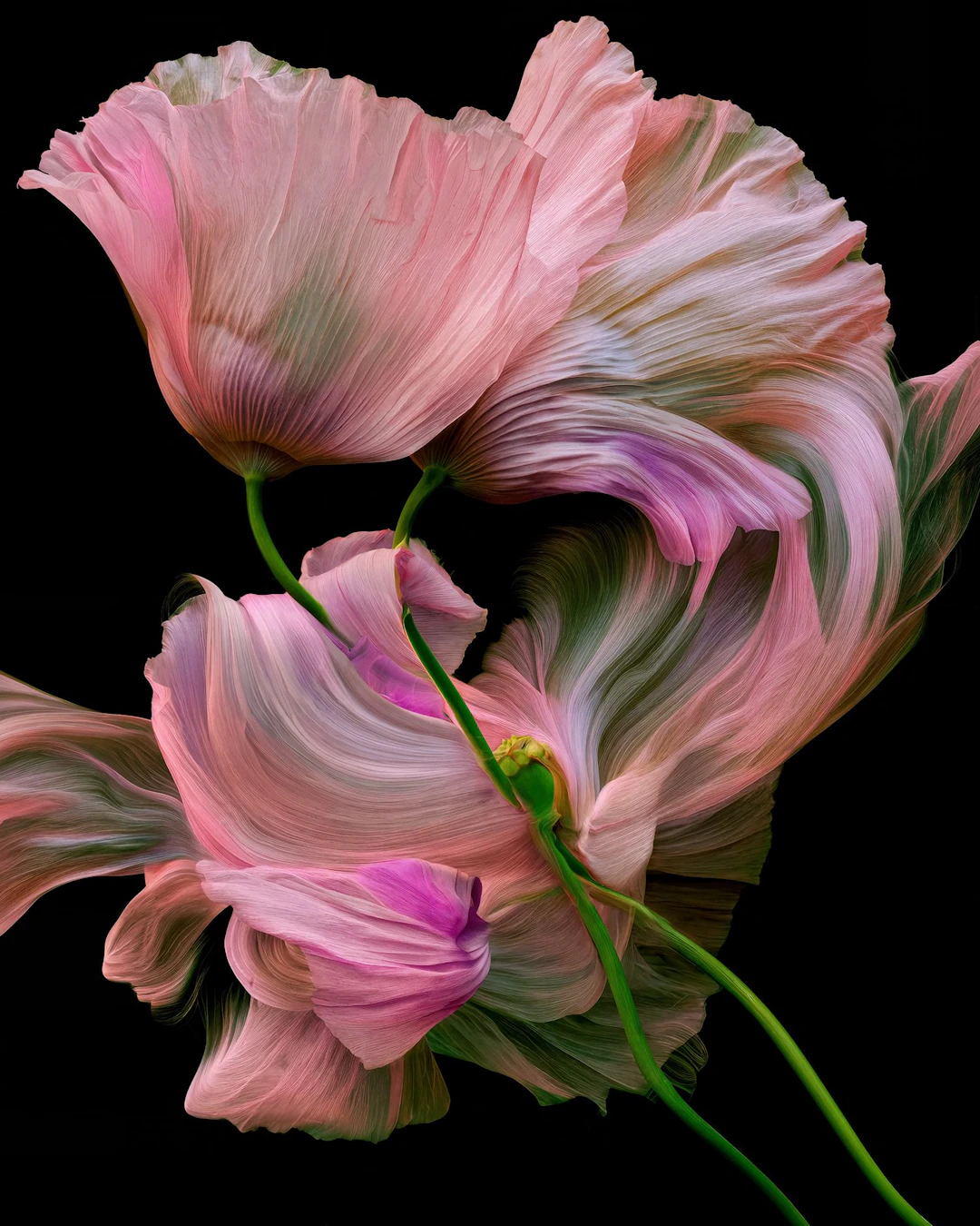 Liquid Botanical - Michael Filonow
