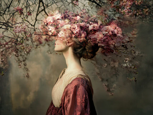 Dreaming in bloom - Viet Ha Tran