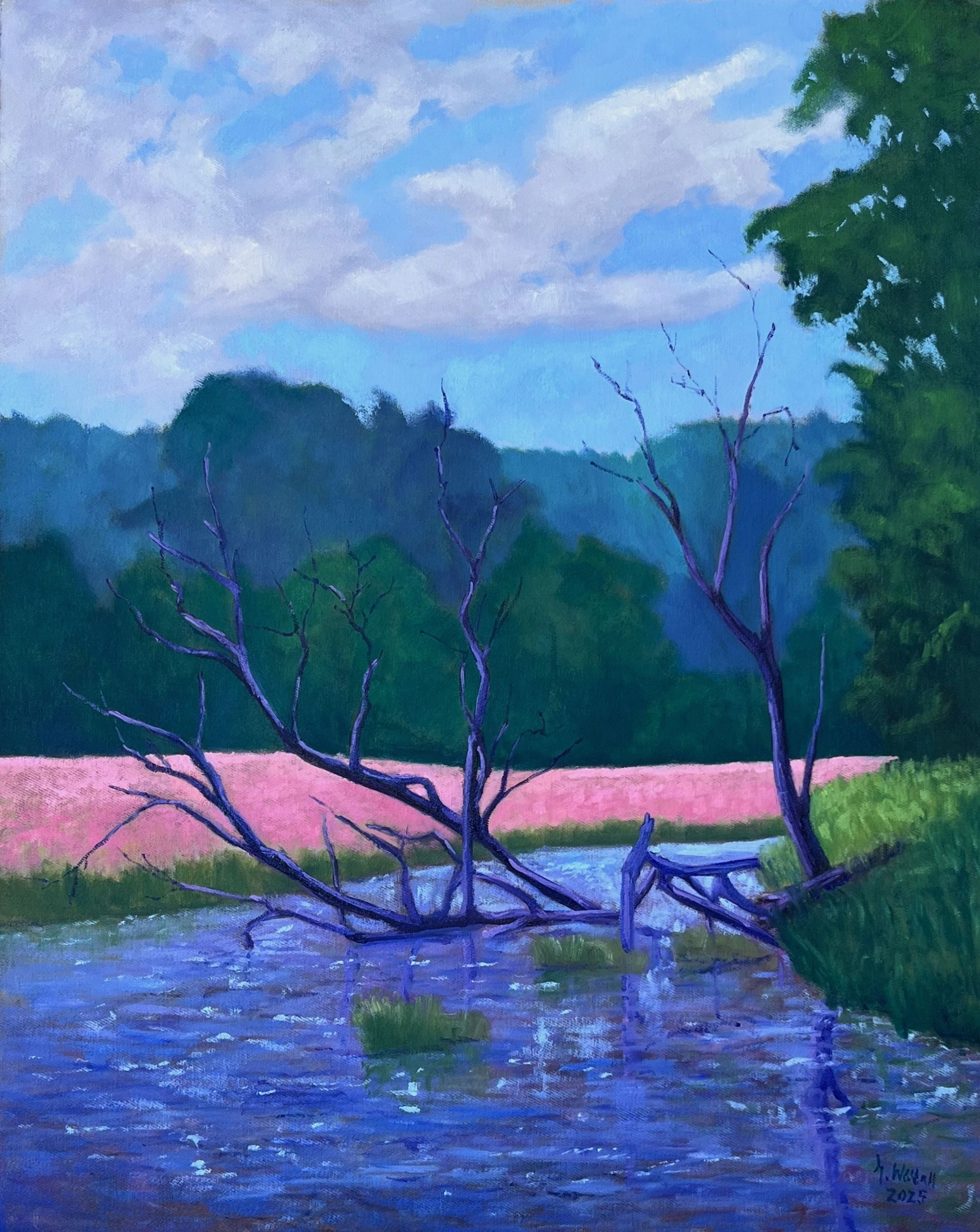 Wild Peace - Gary Westall