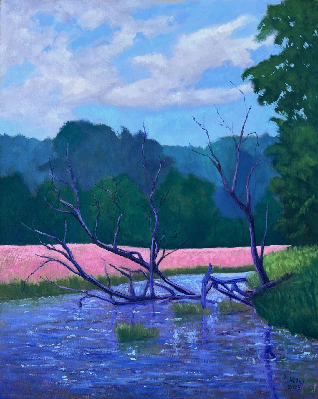 Wild Peace - Gary Westall