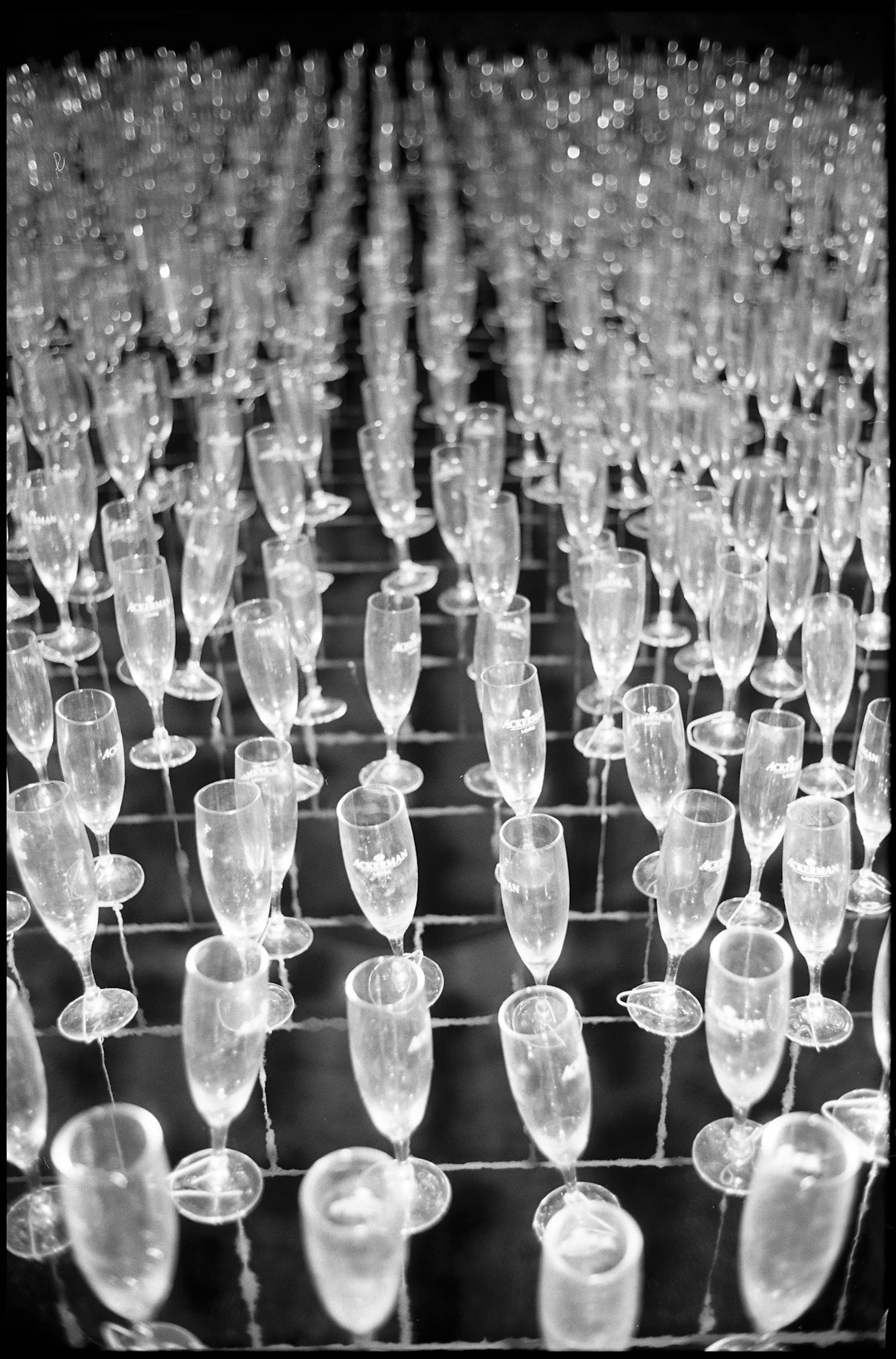 Edition 2/10 - Champagne Flutes Ackerman - Paul Cooklin