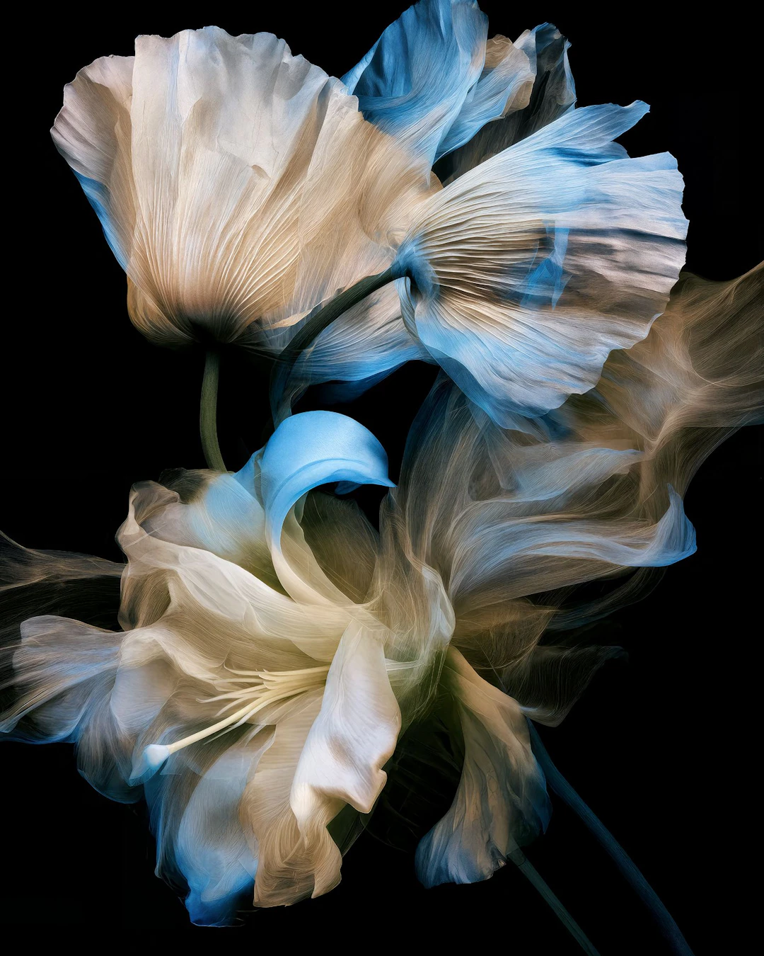 Azure Reverie - Michael Filonow