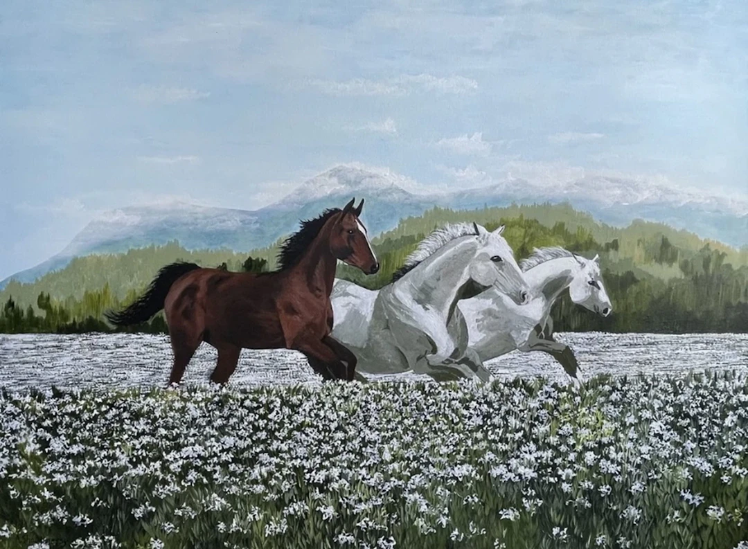 Wild Horses - Anne Shaughnessy