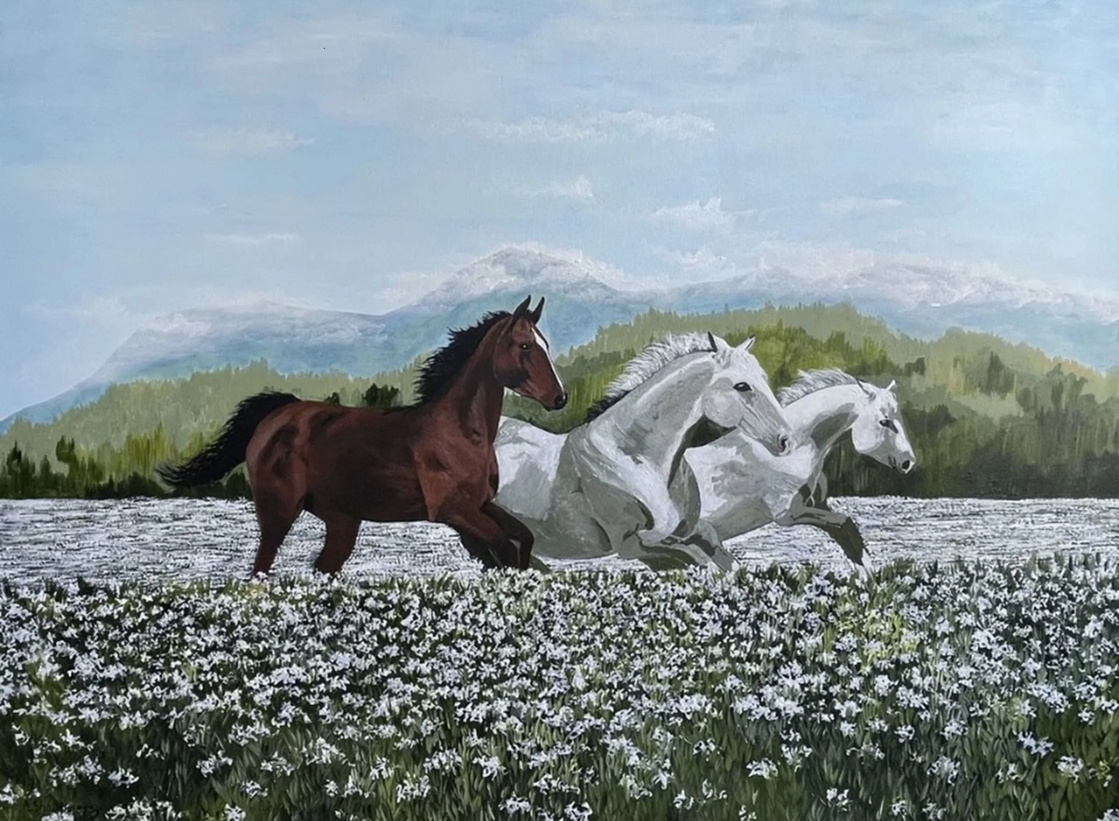 Wild Horses - Anne Shaughnessy