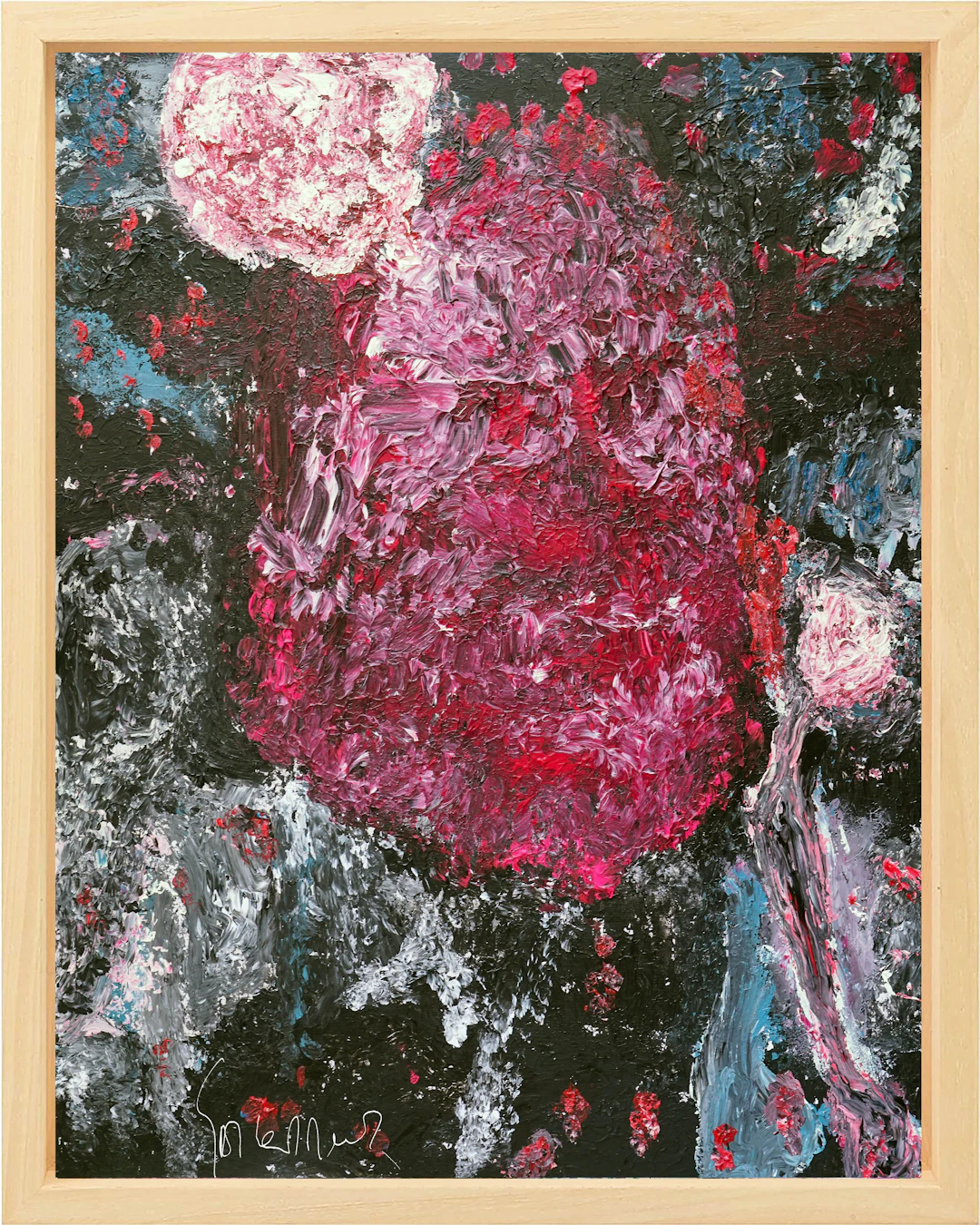 The unknown universe - geert lemmers
