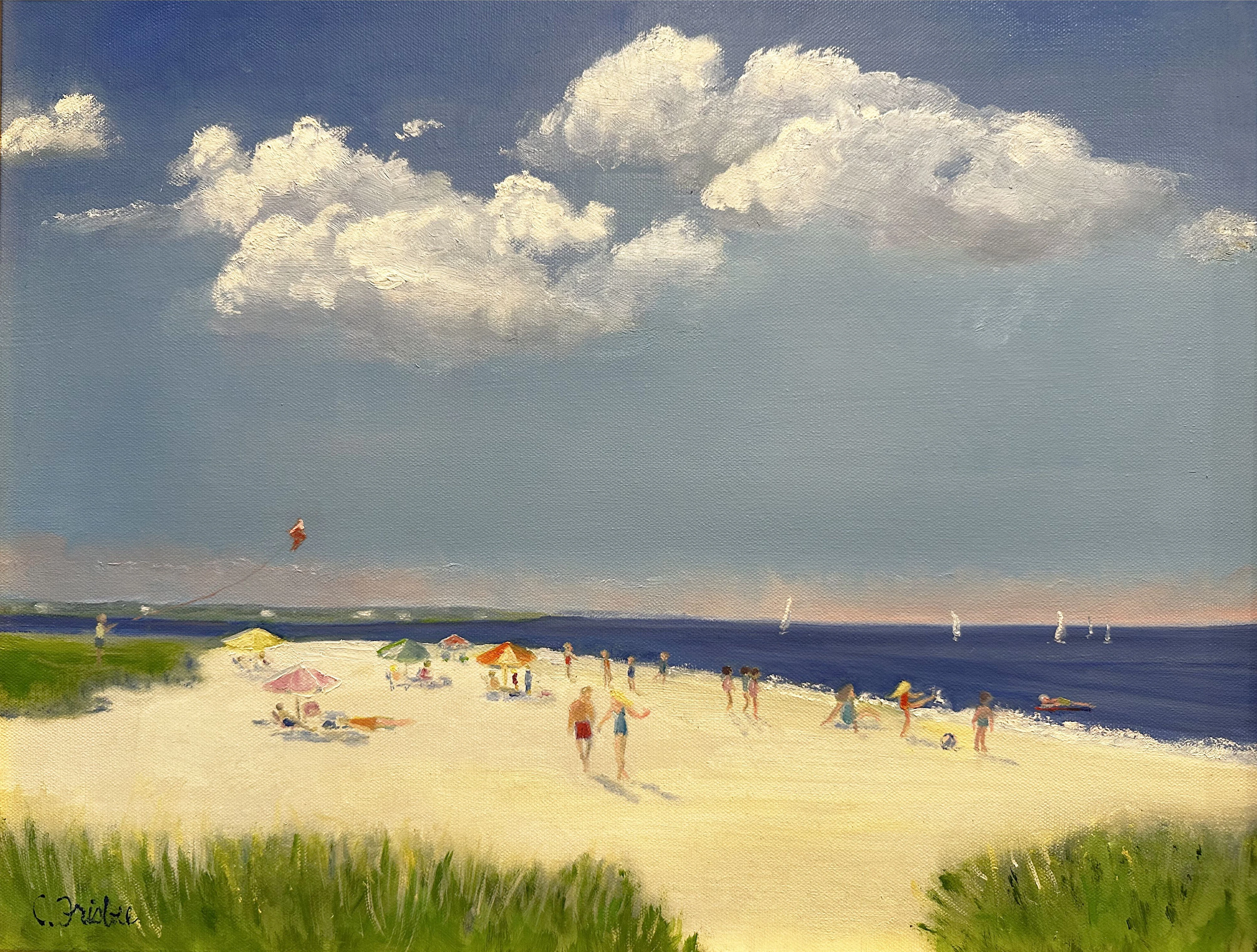 Perfect Beach Day - Christine Frisbee