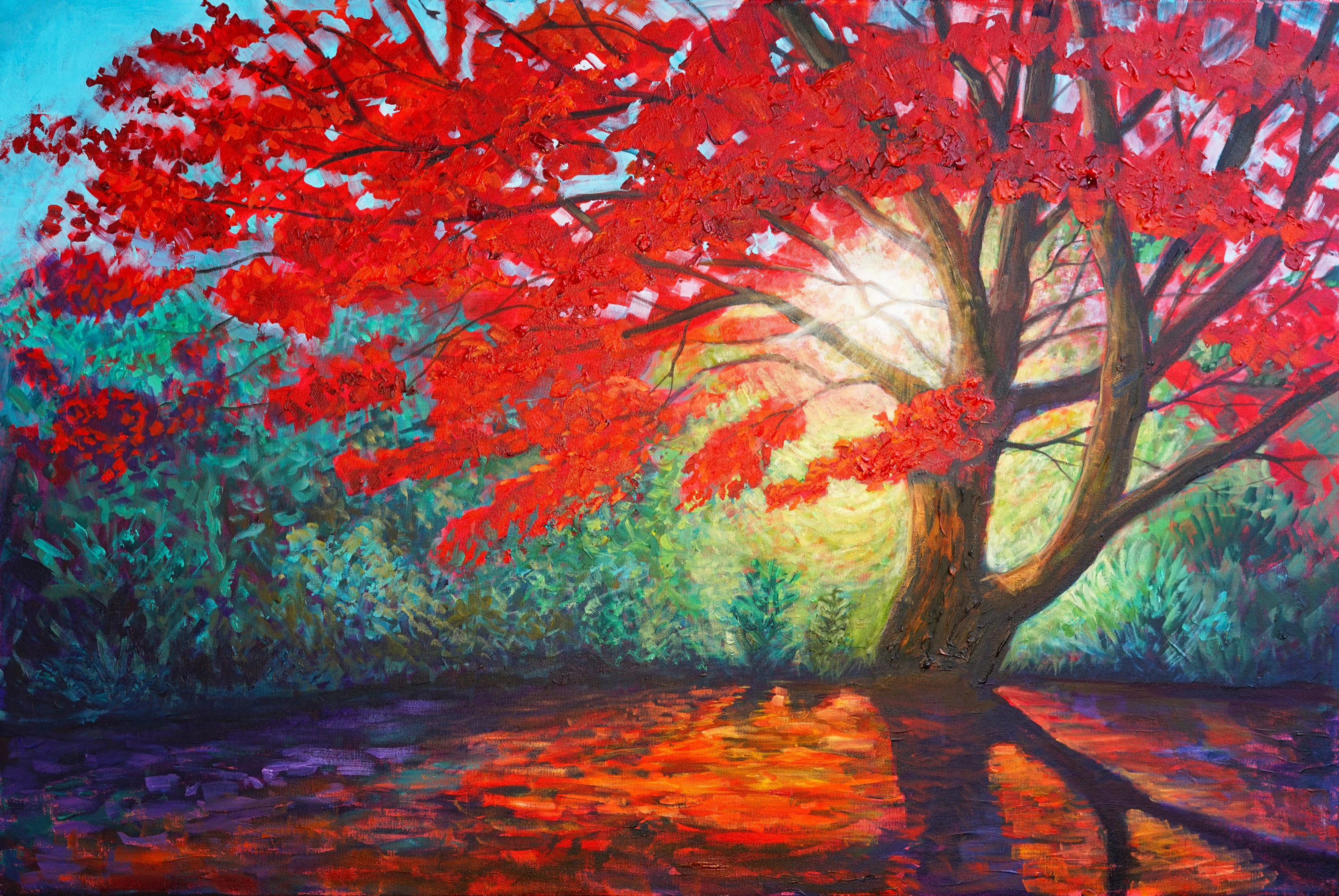 The Radiant Maple - Amanda Dagg