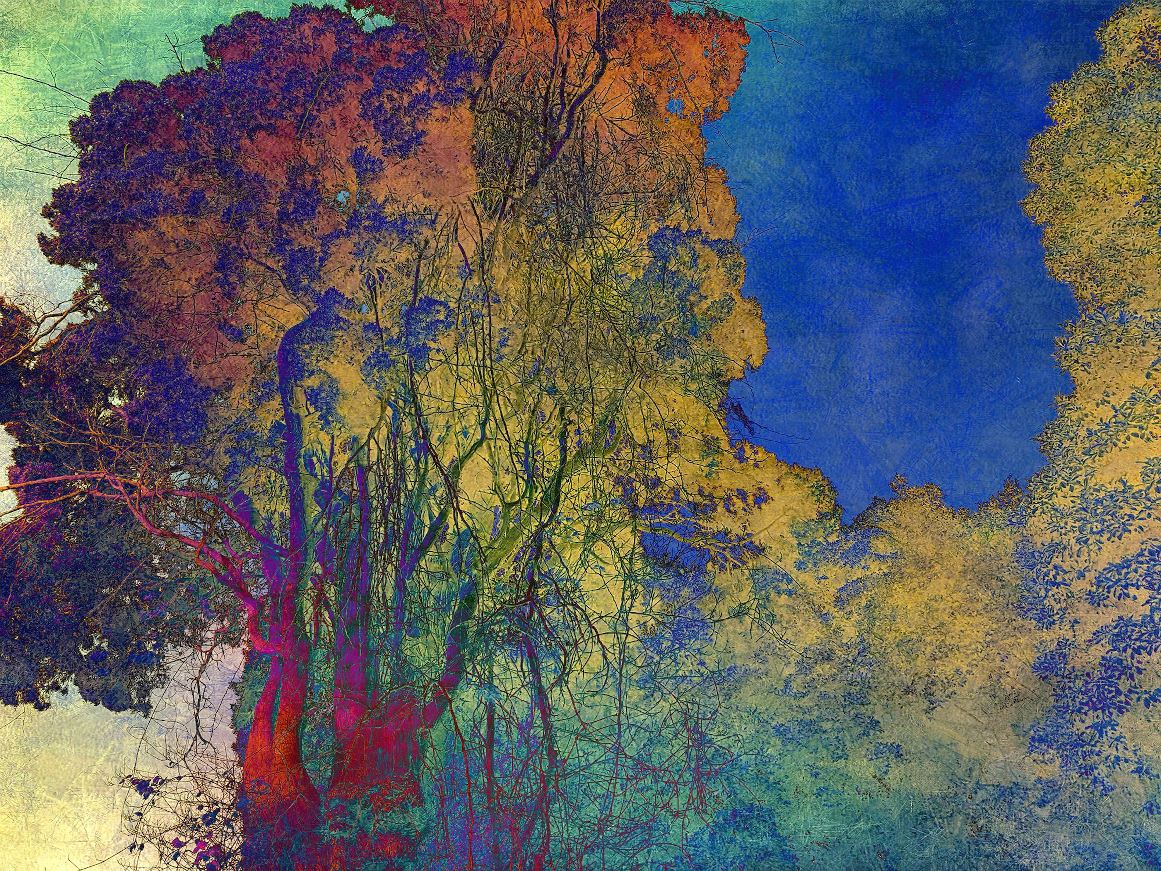 Shades of Dreams XXII - Viet Ha Tran
