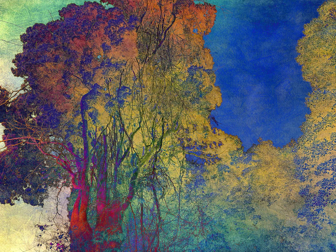 Shades of Dreams XXII - Viet Ha Tran