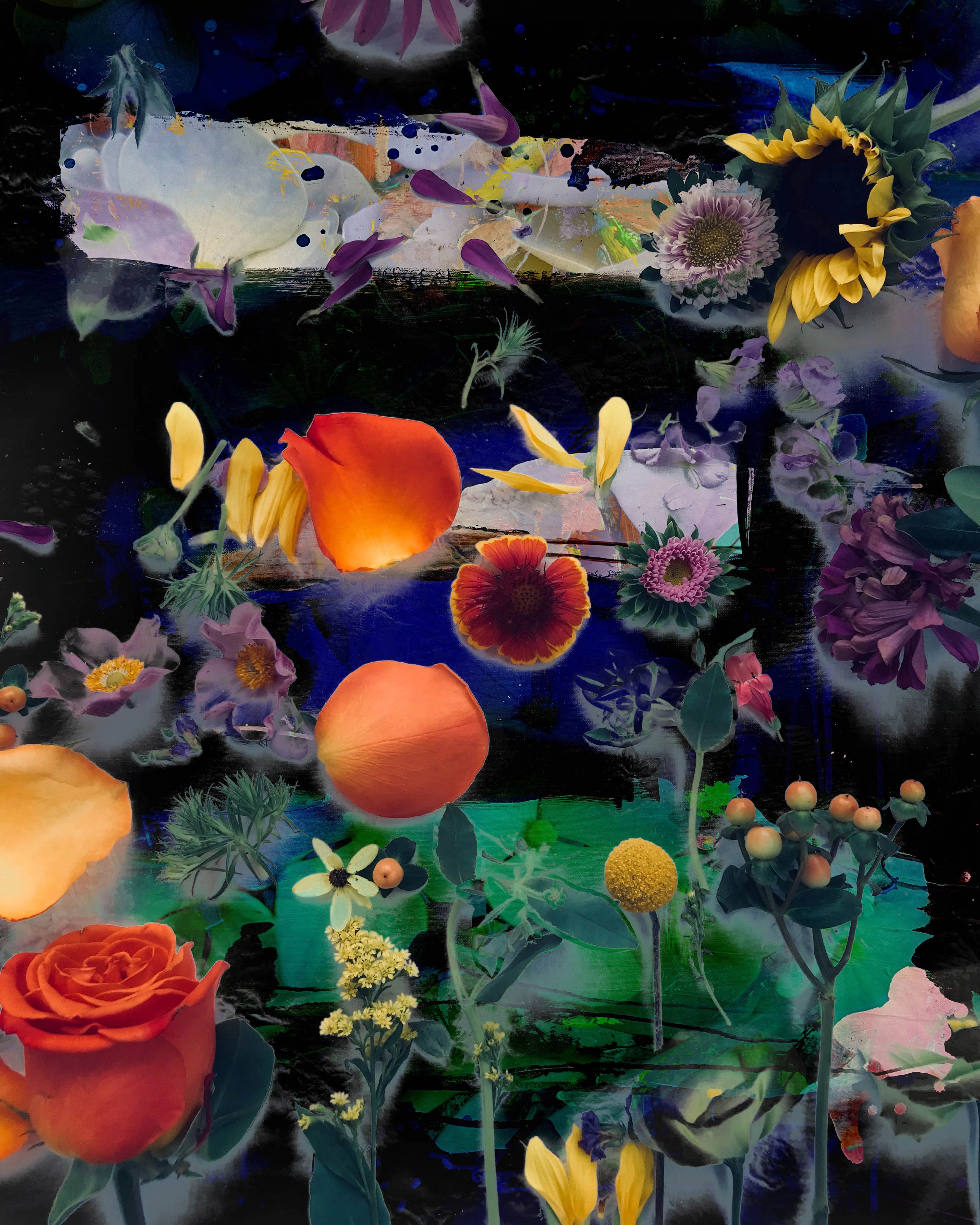 Summer colors 23 - geert lemmers